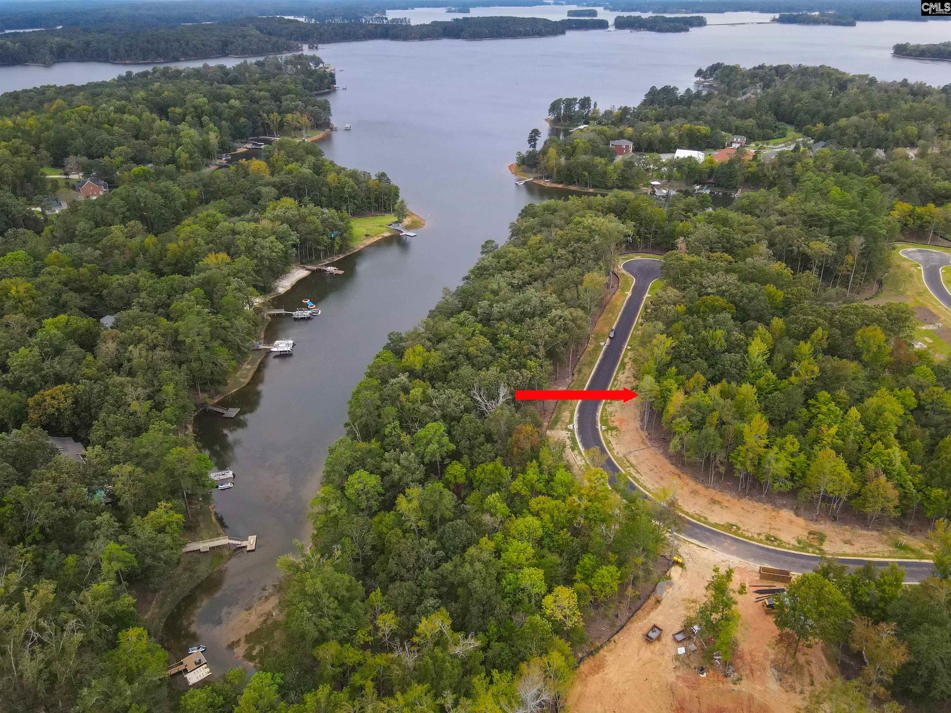 1064 Refuge Pl, Chapin, South Carolina image 6