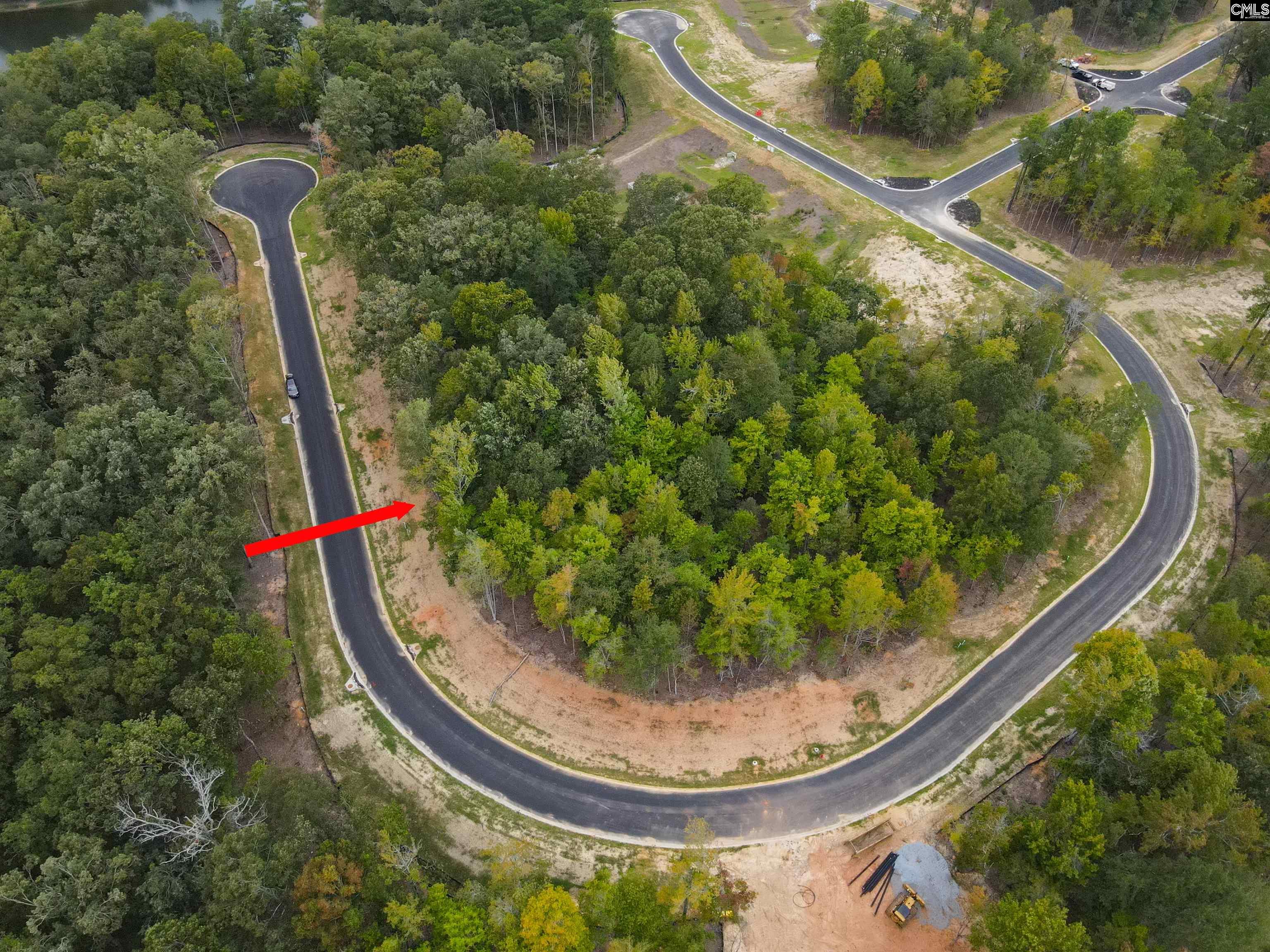 1064 Refuge Pl, Chapin, South Carolina image 8