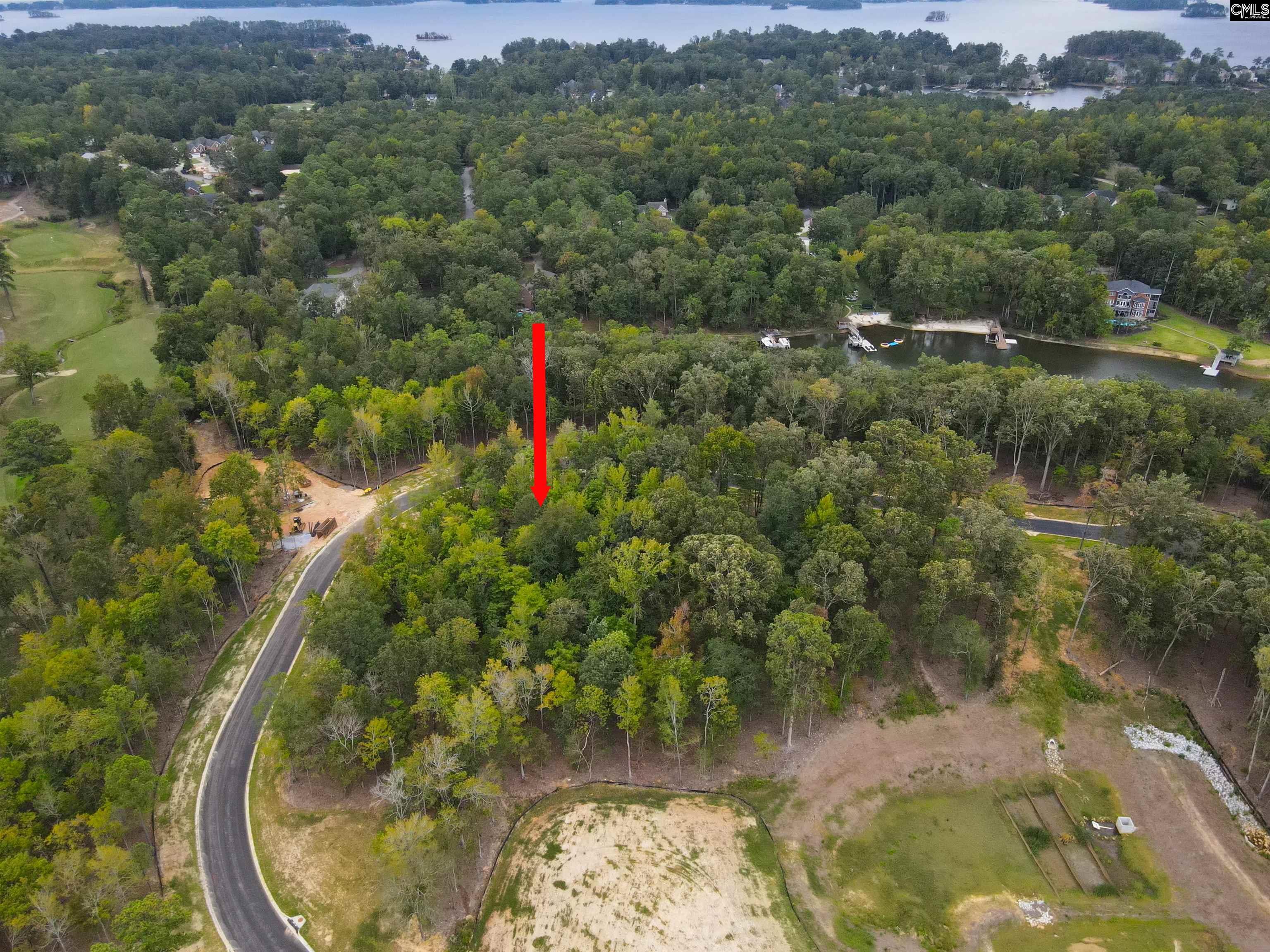 1064 Refuge Pl, Chapin, South Carolina image 10