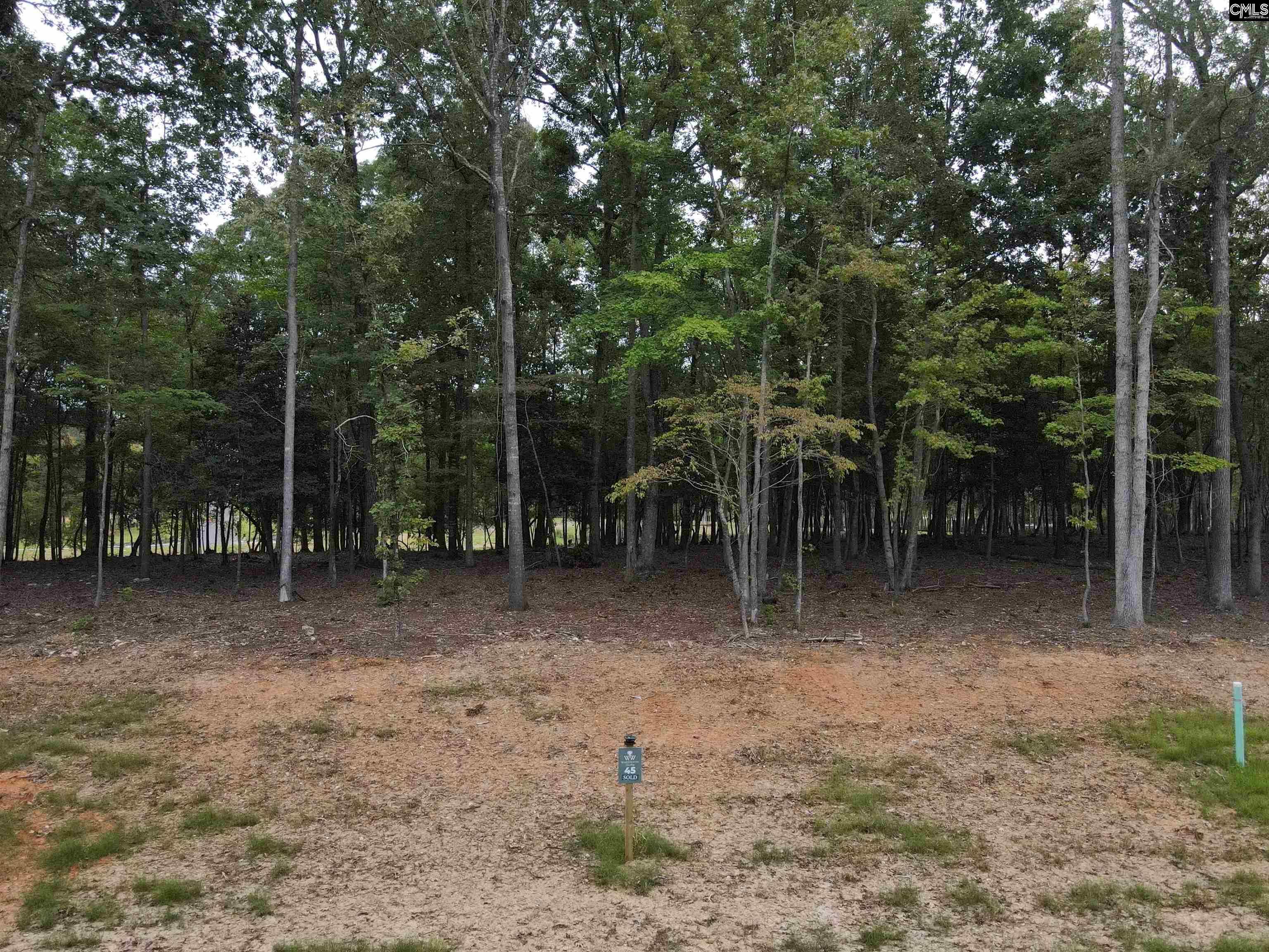 1068 Refuge Pl, Chapin, South Carolina image 12