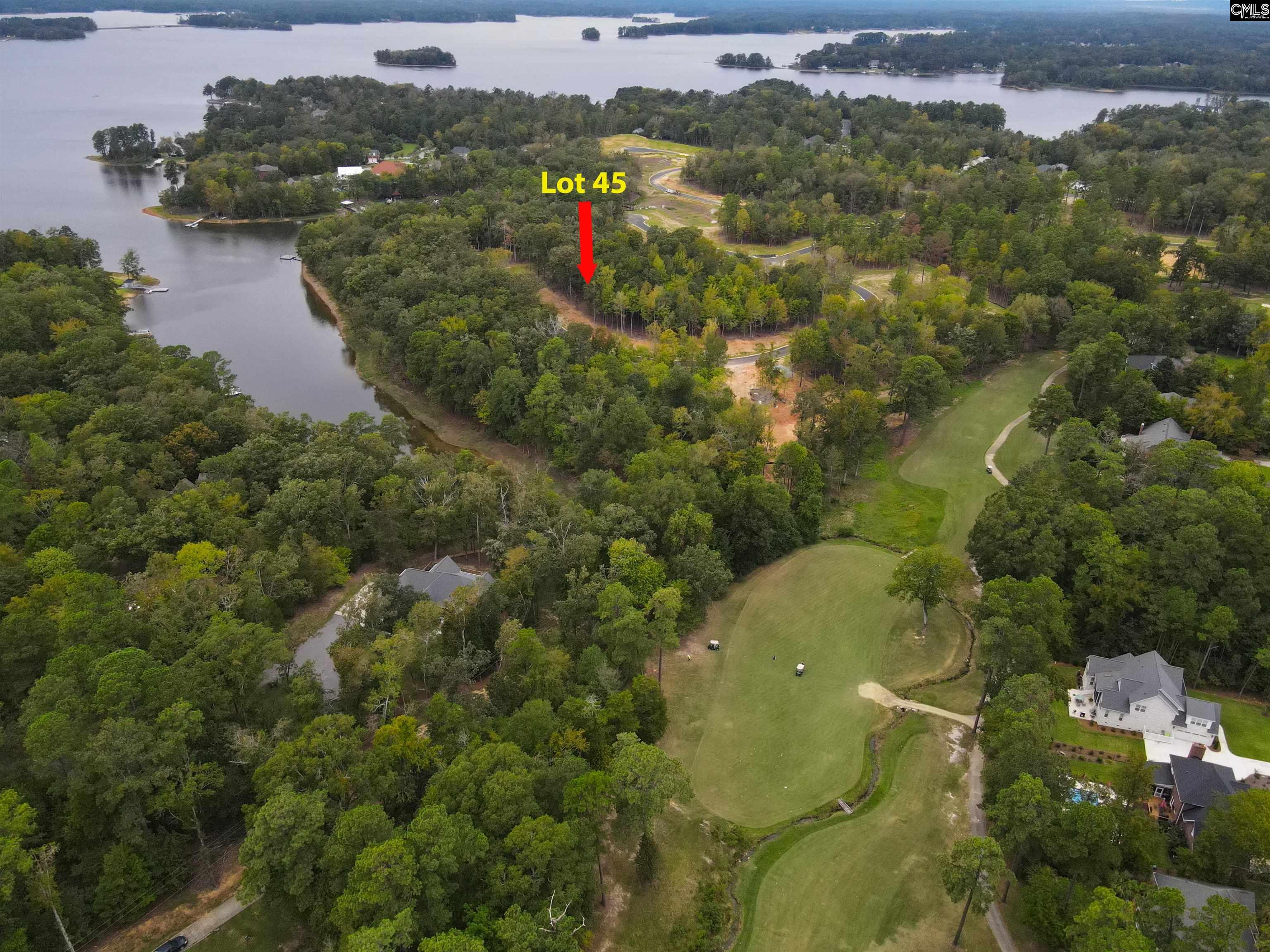 1068 Refuge Pl, Chapin, South Carolina image 17