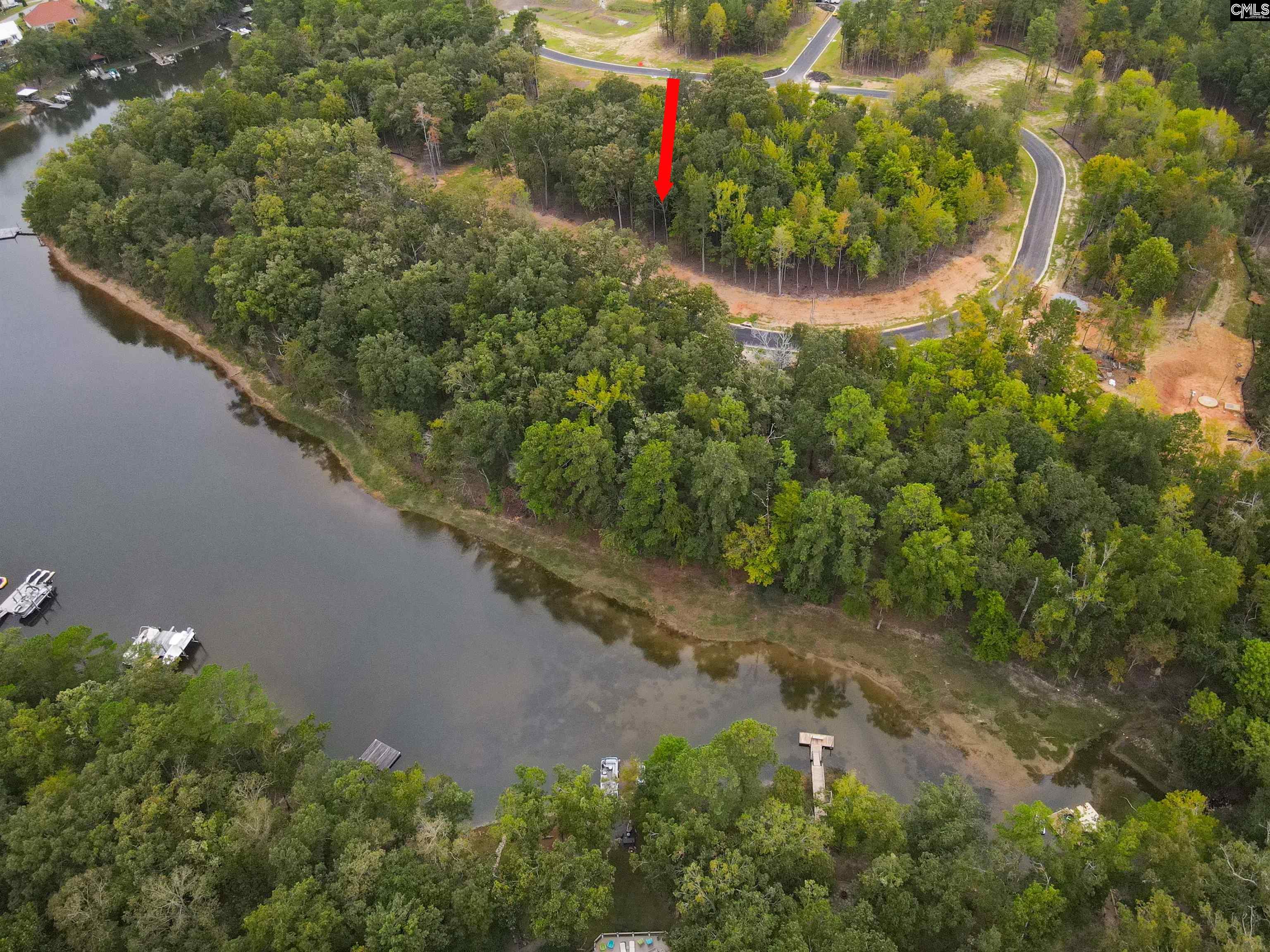 1068 Refuge Pl, Chapin, South Carolina image 3