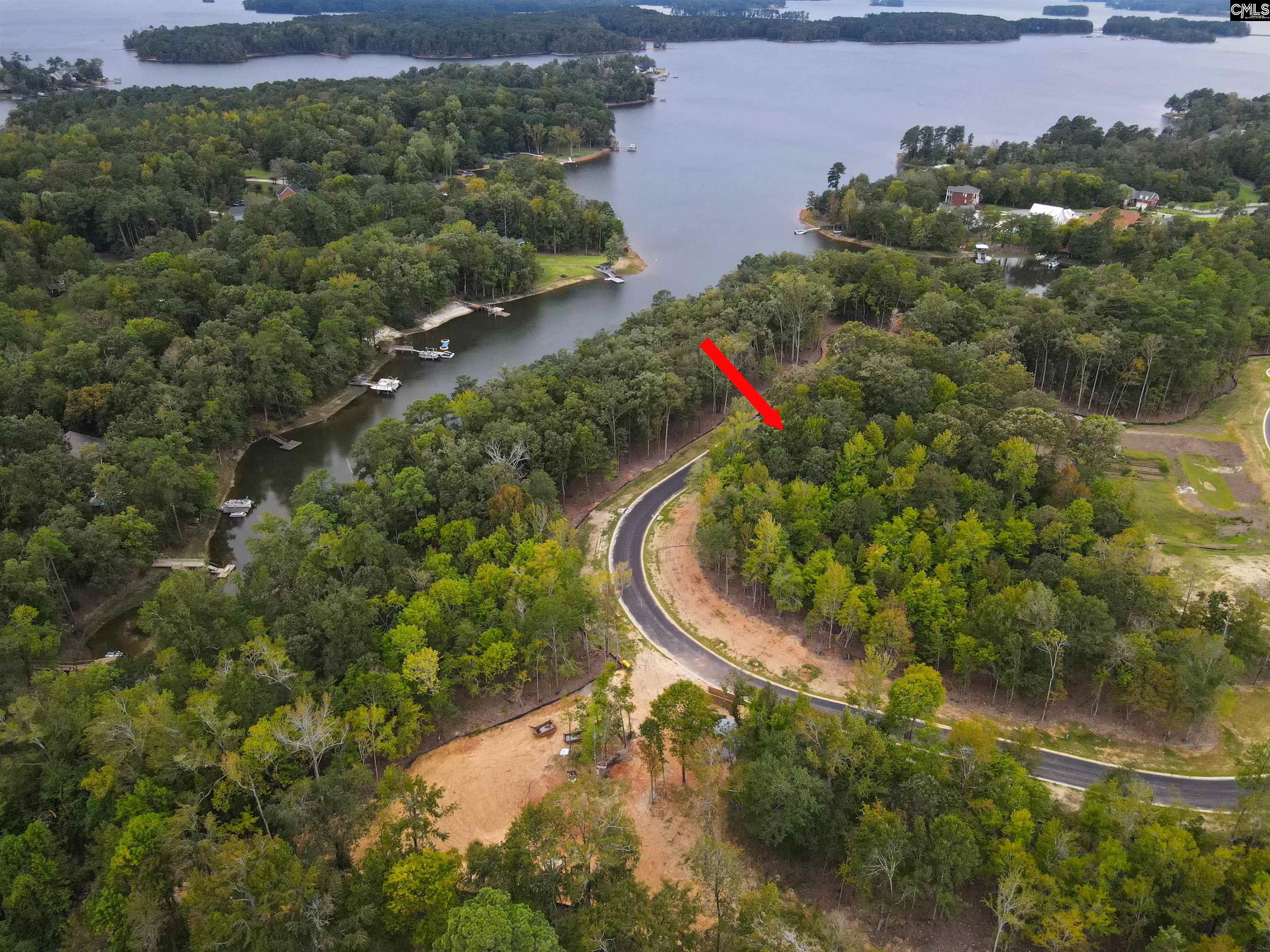 1068 Refuge Pl, Chapin, South Carolina image 8