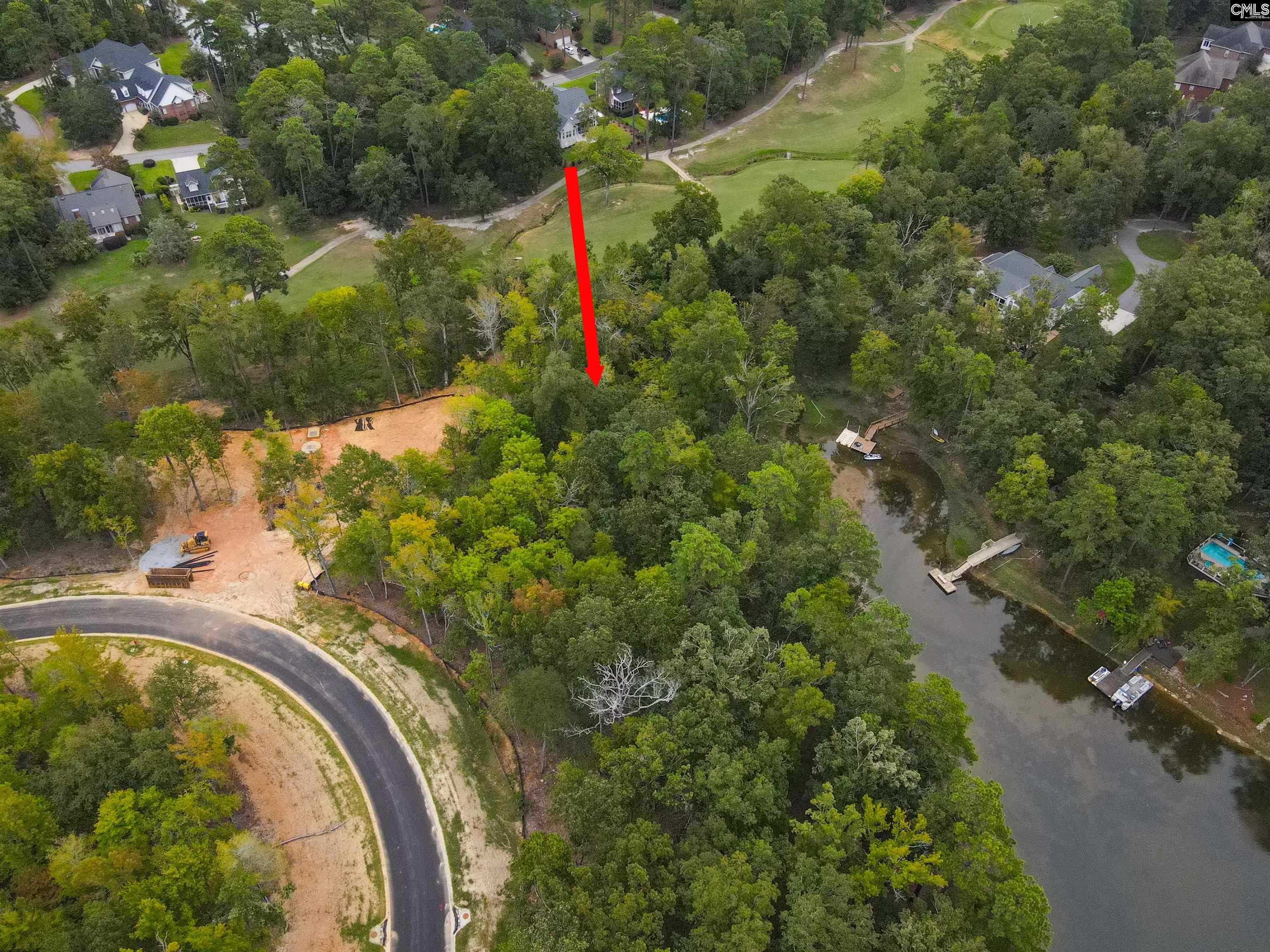 1049 Refuge Pl, Chapin, South Carolina image 2