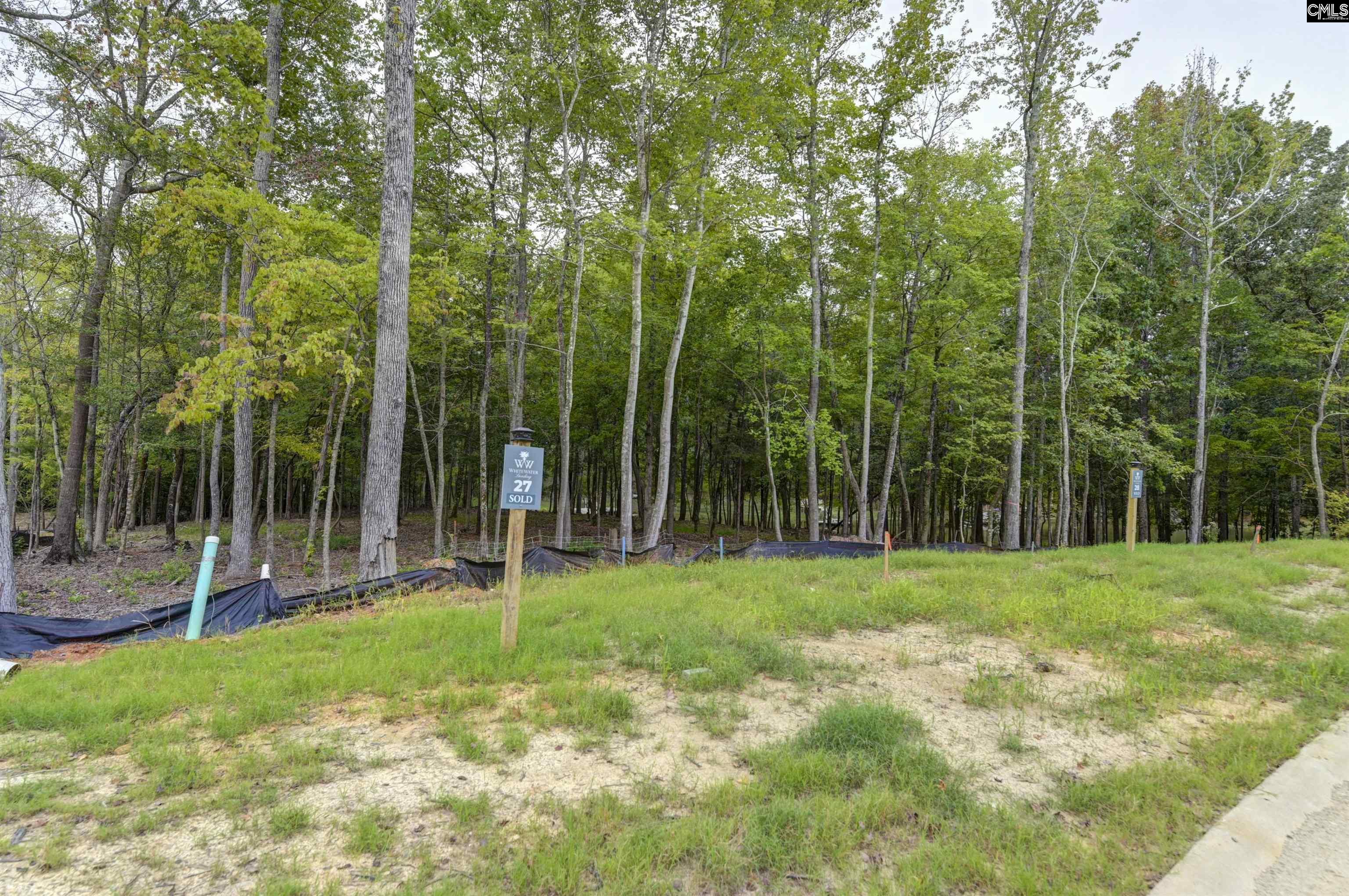 1049 Refuge Pl, Chapin, South Carolina image 13