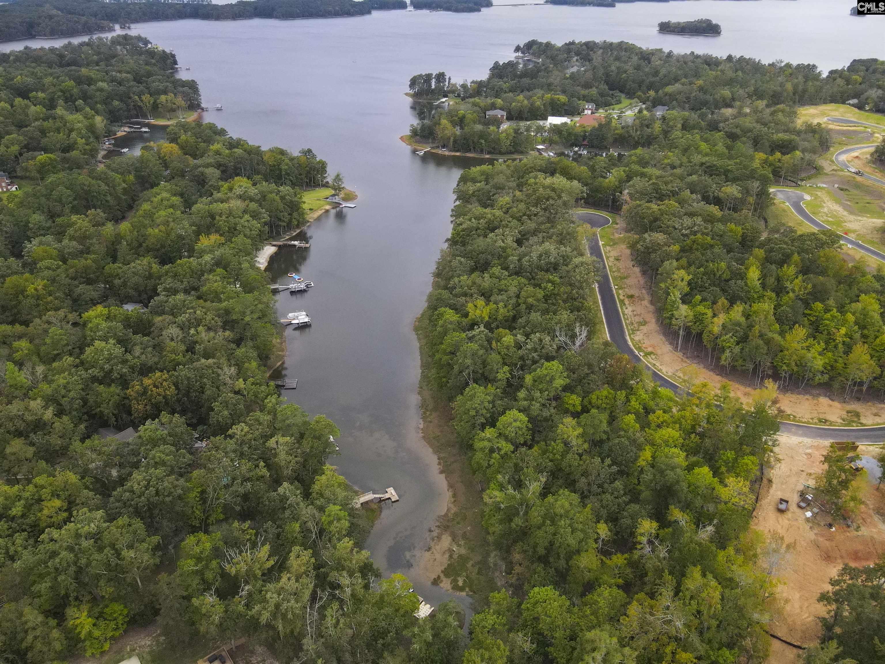 1049 Refuge Pl, Chapin, South Carolina image 15