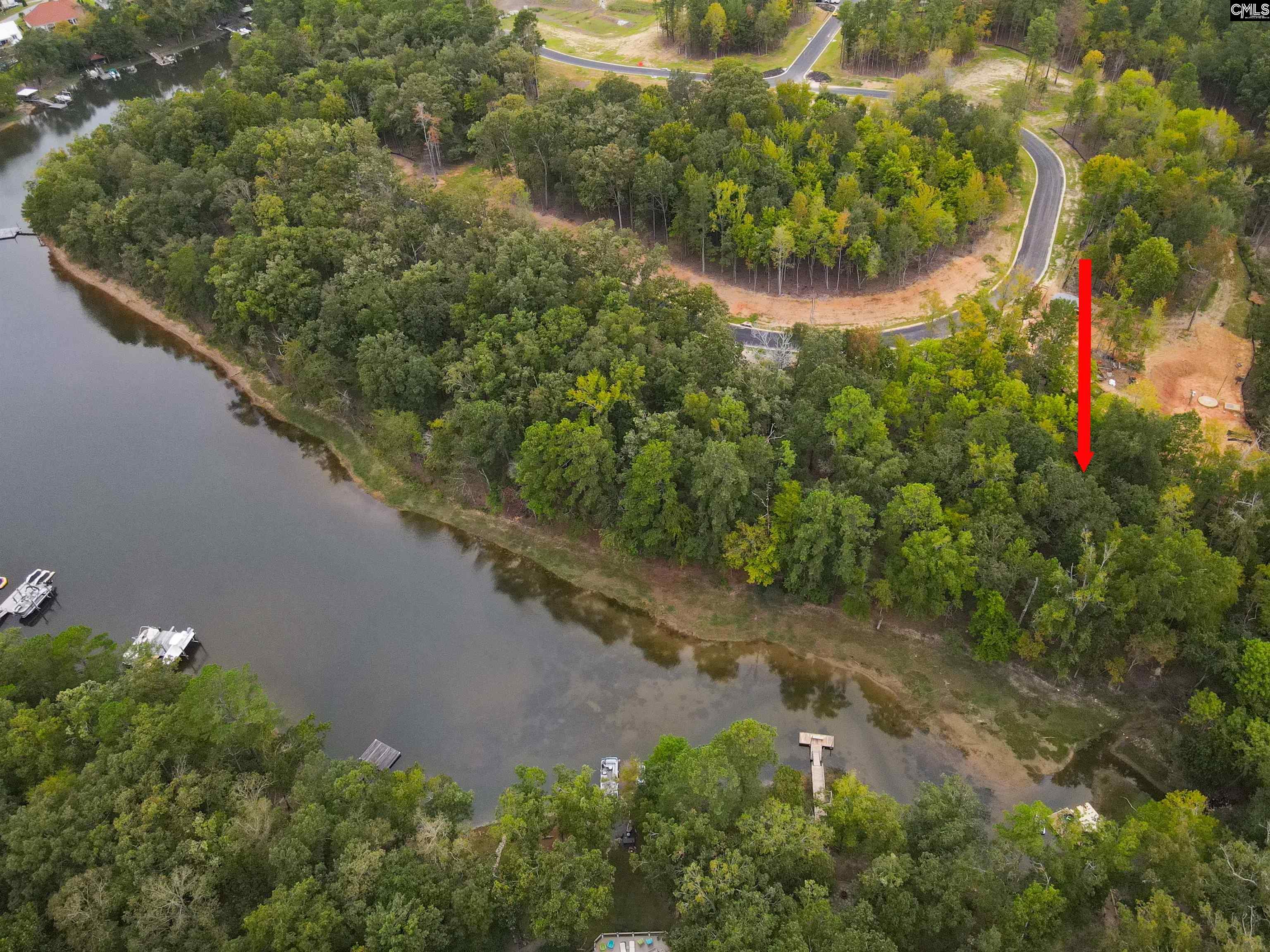 1049 Refuge Pl, Chapin, South Carolina image 3