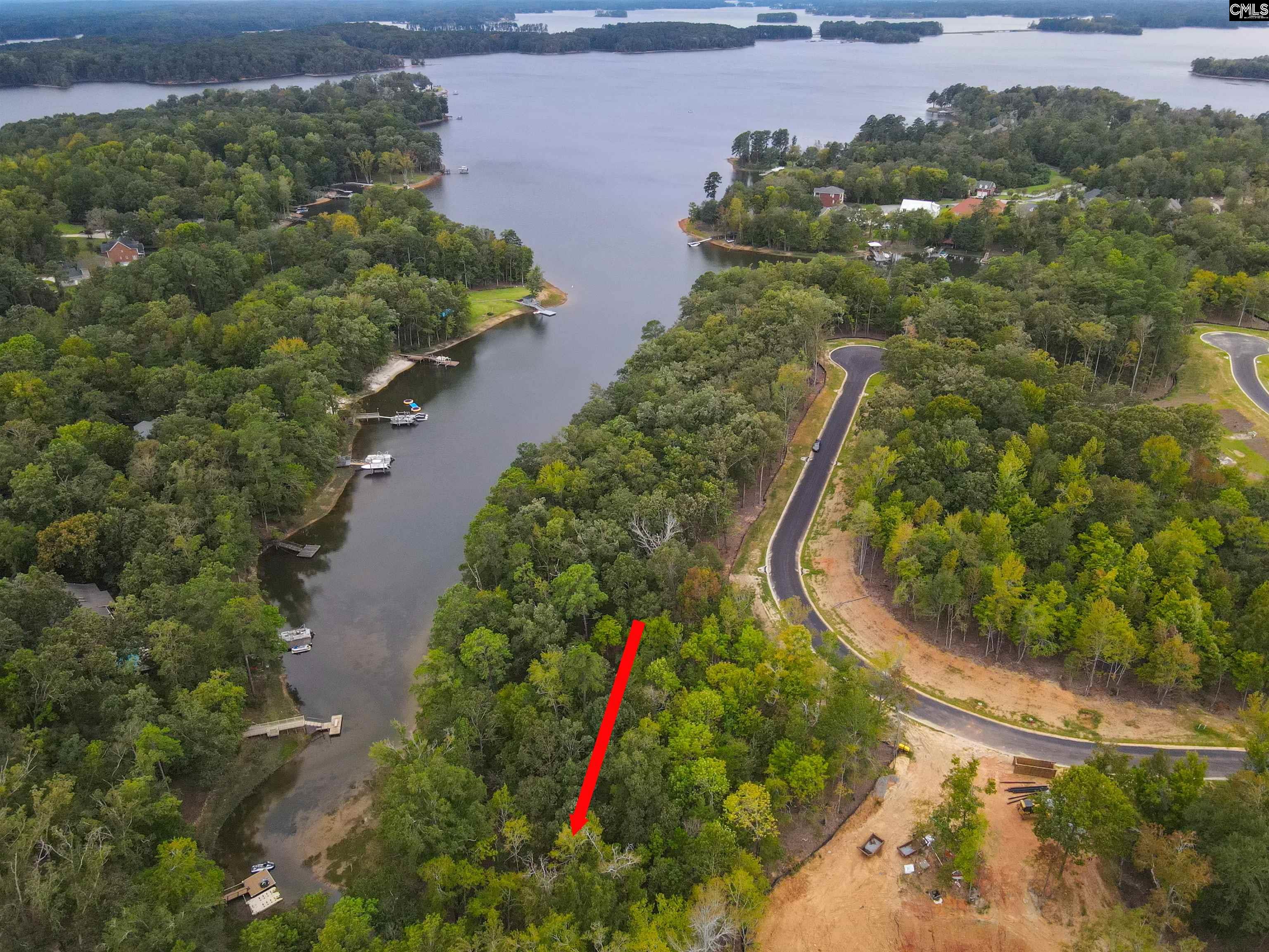 1049 Refuge Pl, Chapin, South Carolina image 5