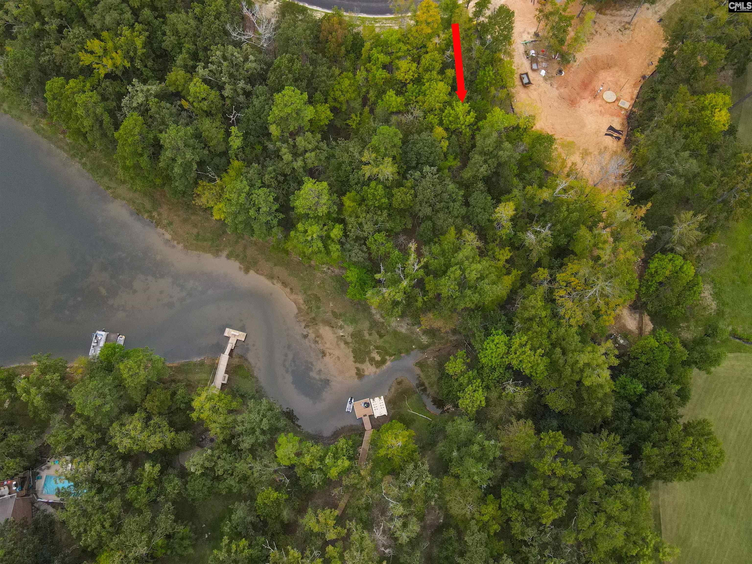 1049 Refuge Pl, Chapin, South Carolina image 8