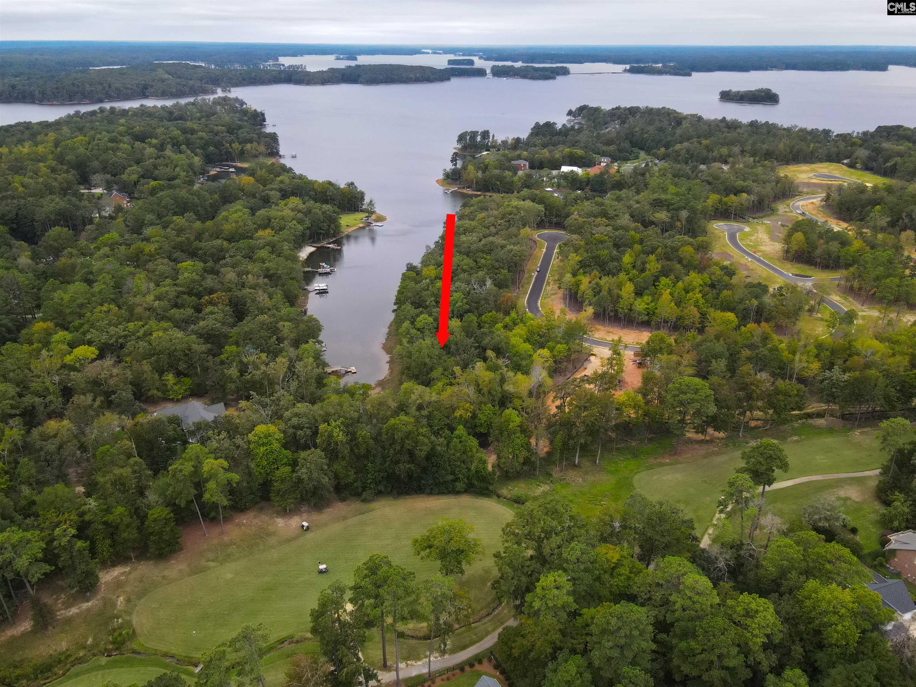 1049 Refuge Pl, Chapin, South Carolina image 9