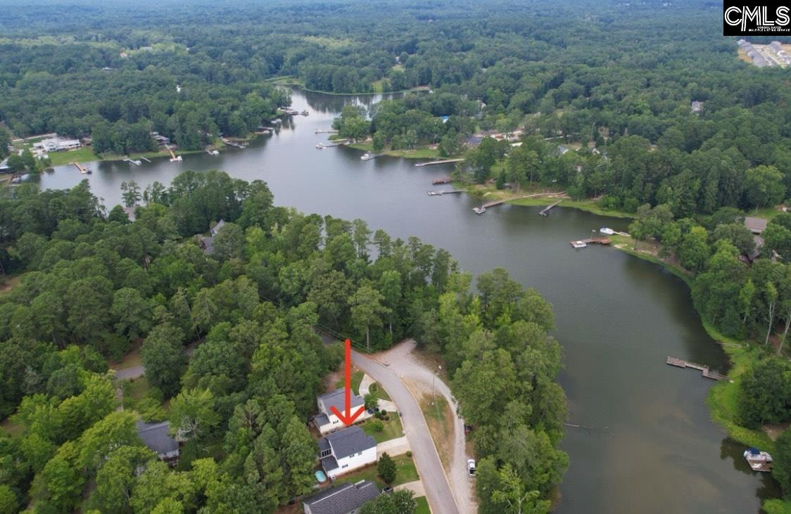 1177 Old Bush River Road, Chapin, South Carolina image 1
