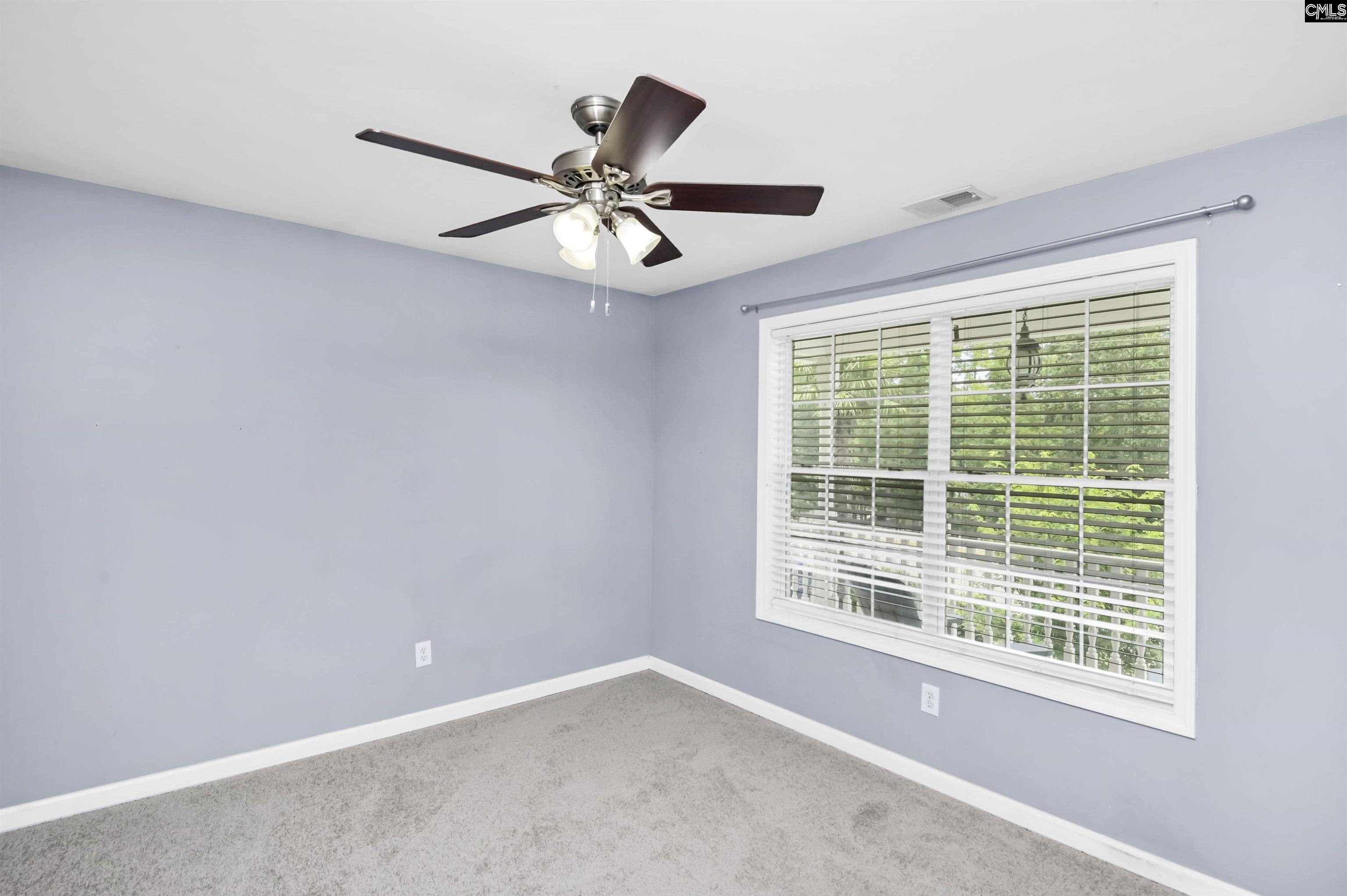 1177 Old Bush River Road, Chapin, South Carolina image 41