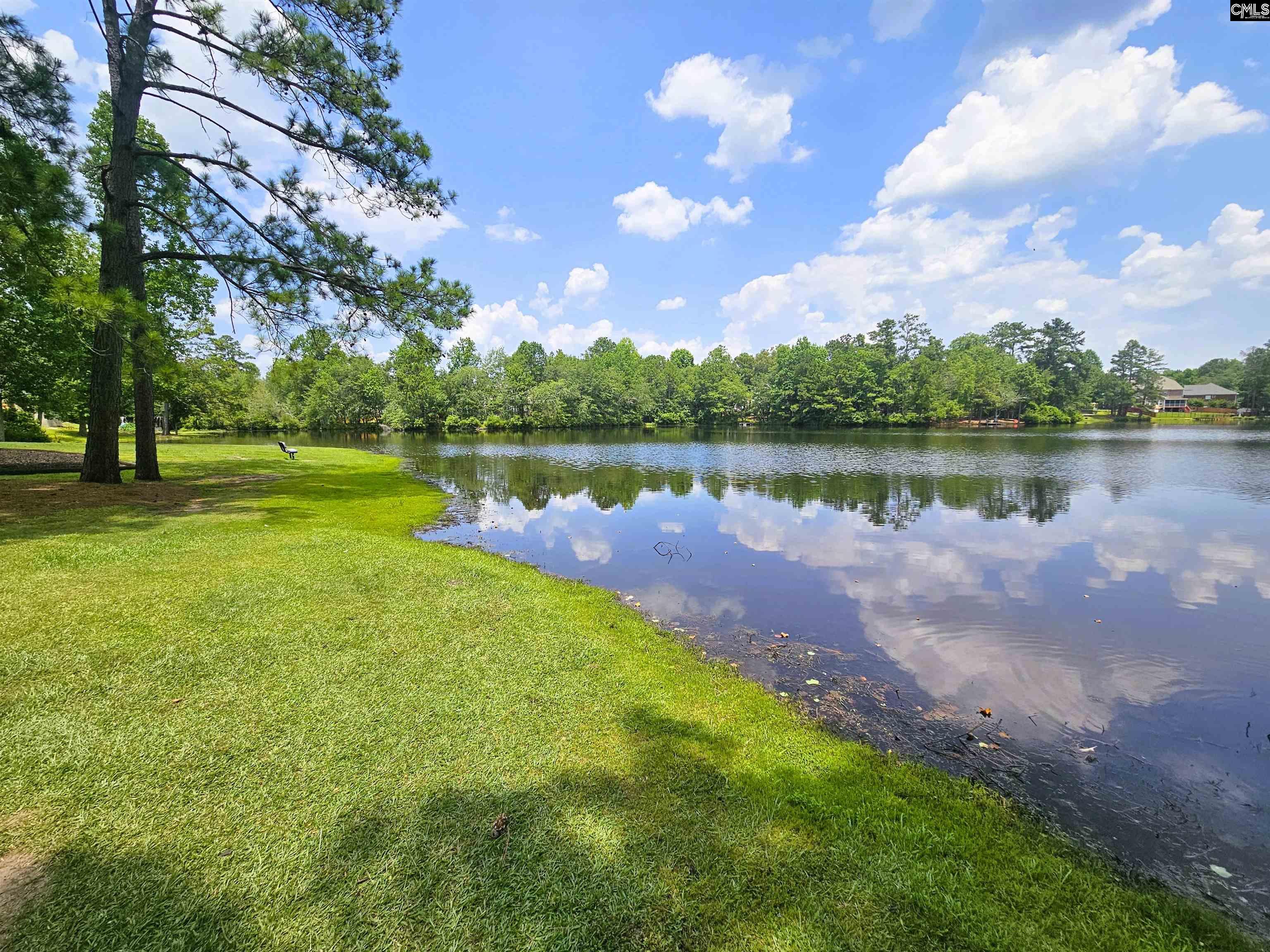 56 Oakvale Court Street Blythewood, SC 29016