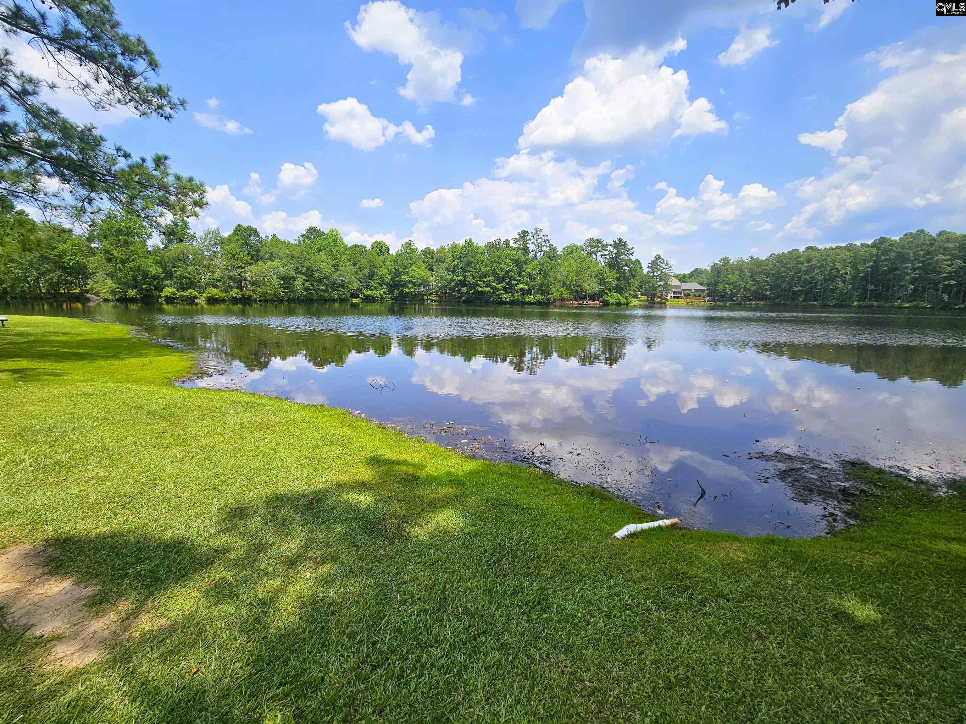 56 Oakvale Court Street Blythewood, SC 29016