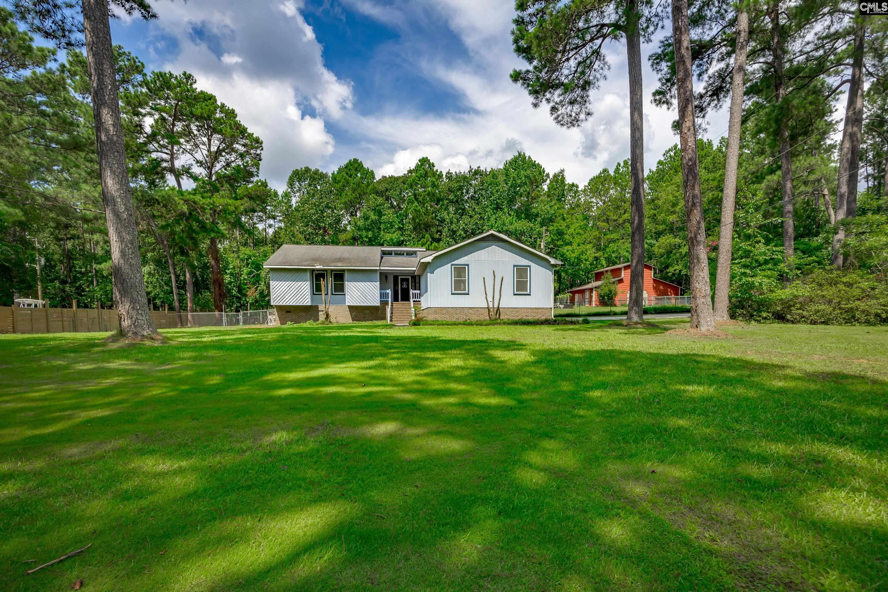 1122 Richard Franklin Road, Chapin, South Carolina image 1