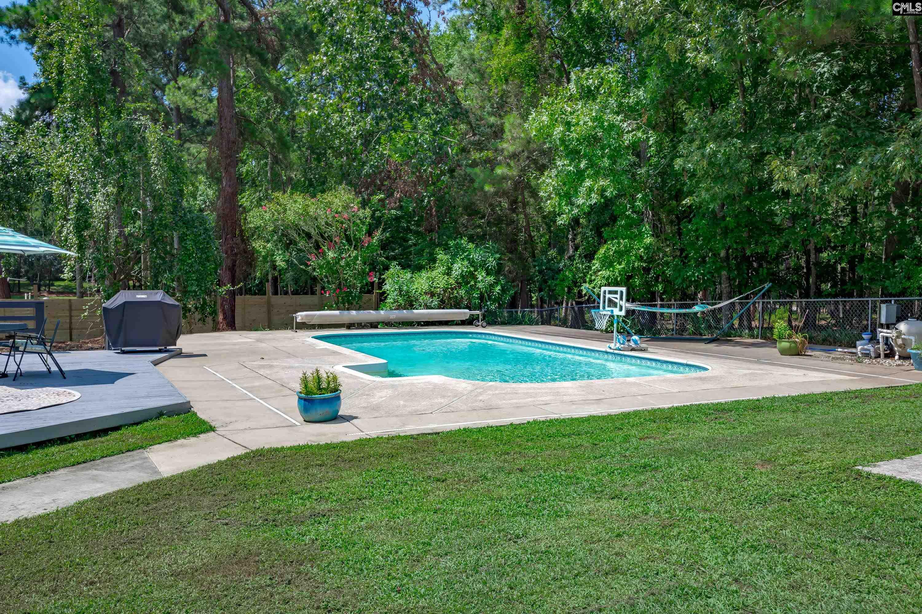 1122 Richard Franklin Road, Chapin, South Carolina image 3