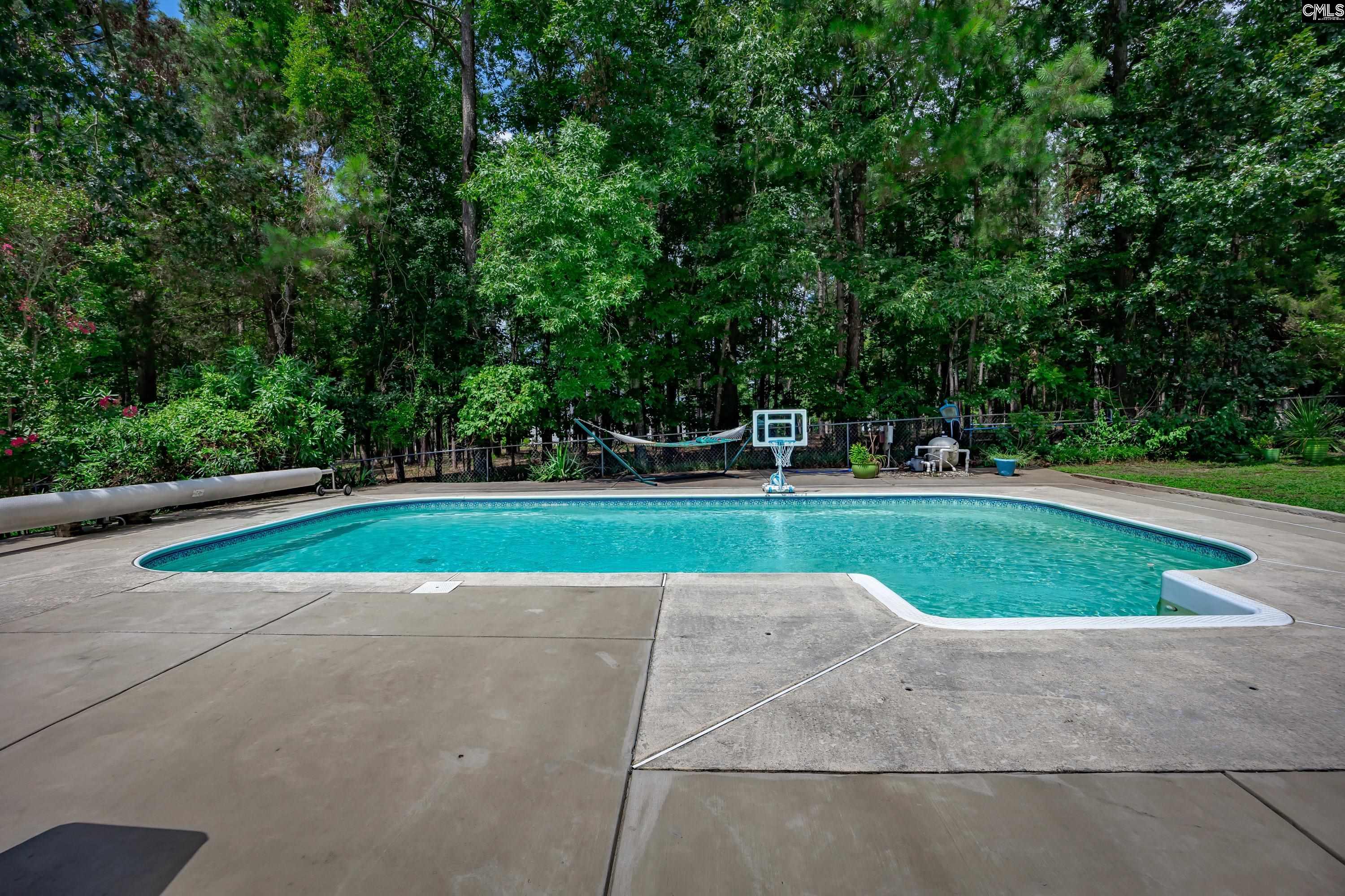 1122 Richard Franklin Road, Chapin, South Carolina image 40