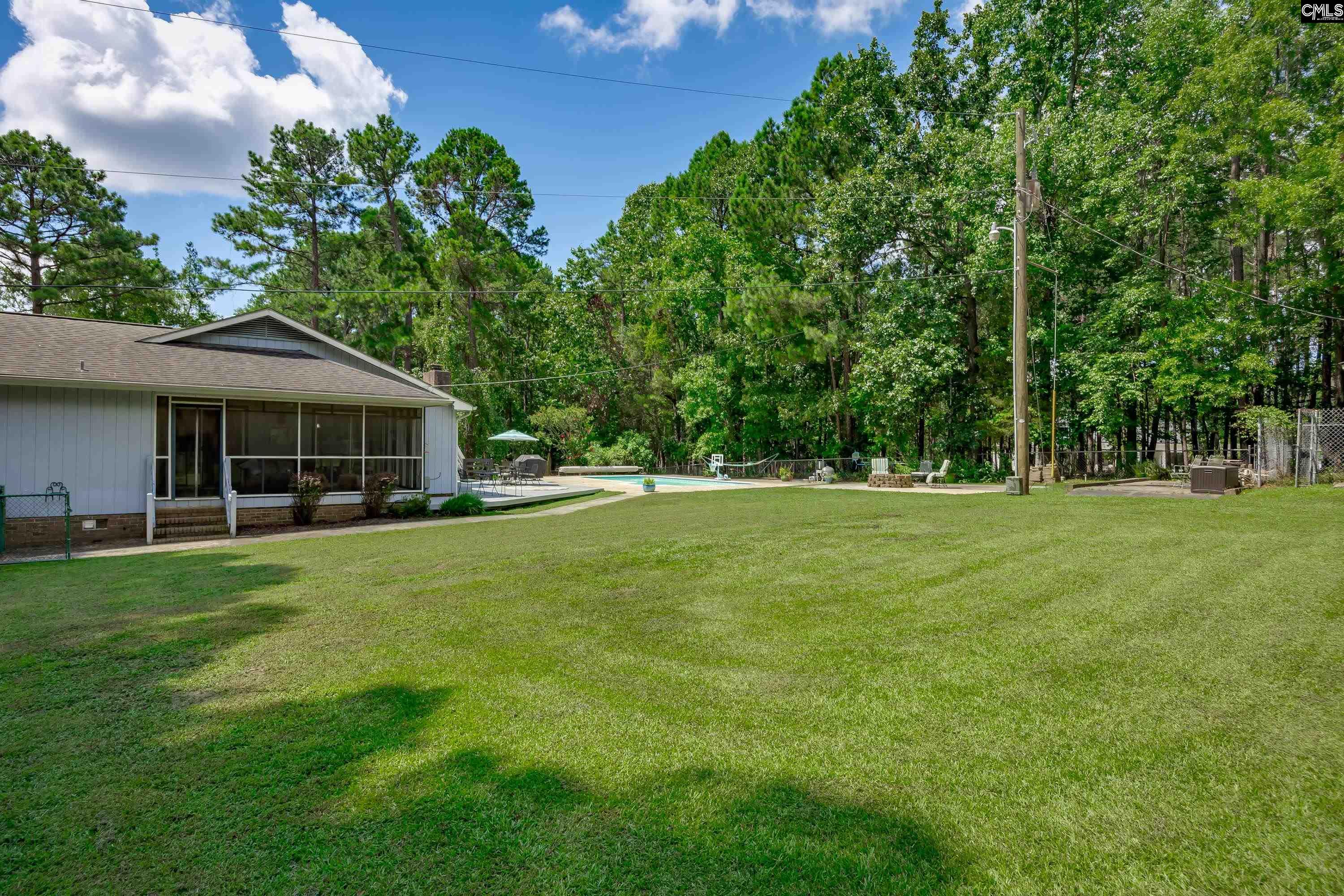 1122 Richard Franklin Road, Chapin, South Carolina image 44