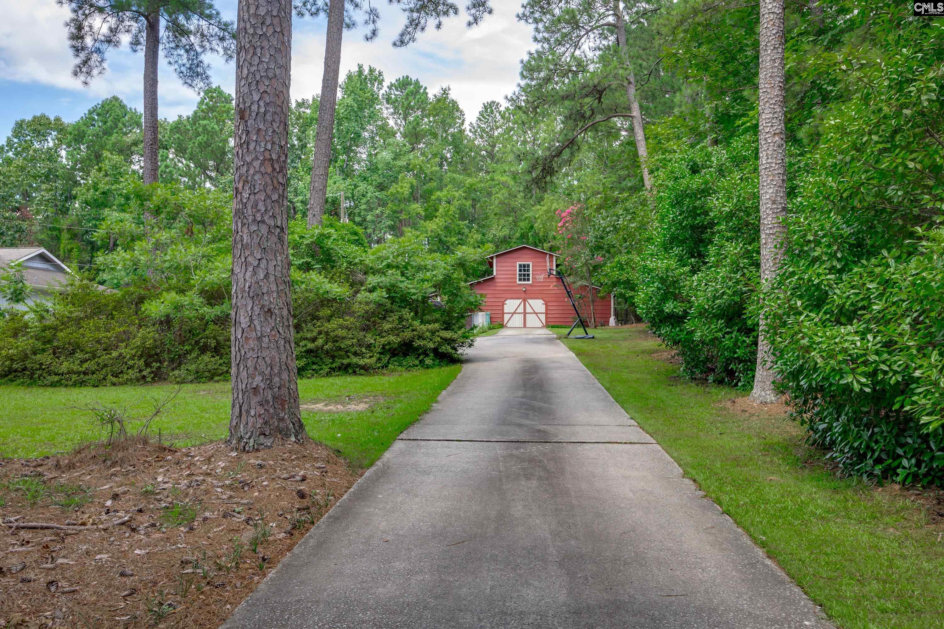 1122 Richard Franklin Road, Chapin, South Carolina image 47