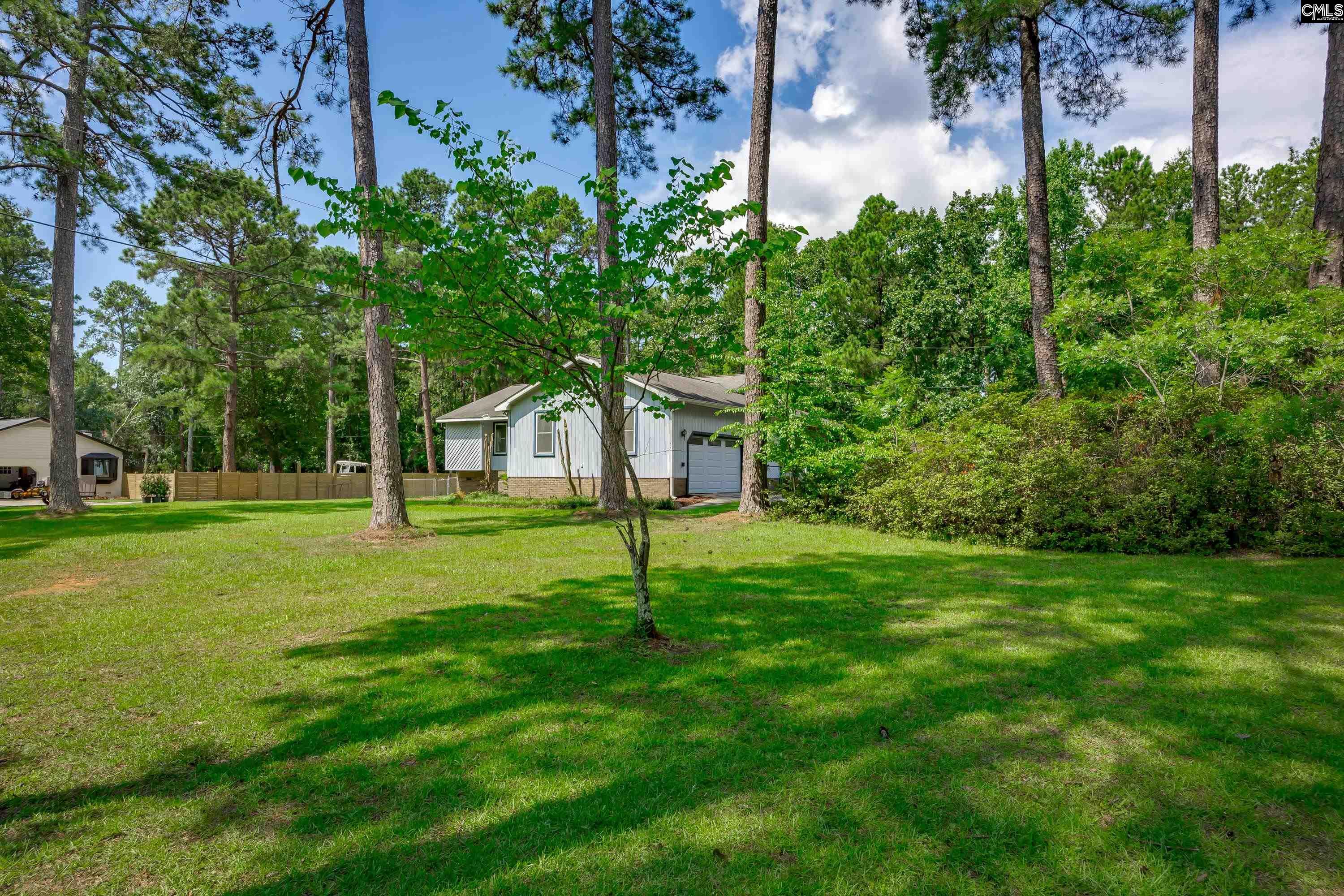 1122 Richard Franklin Road, Chapin, South Carolina image 7