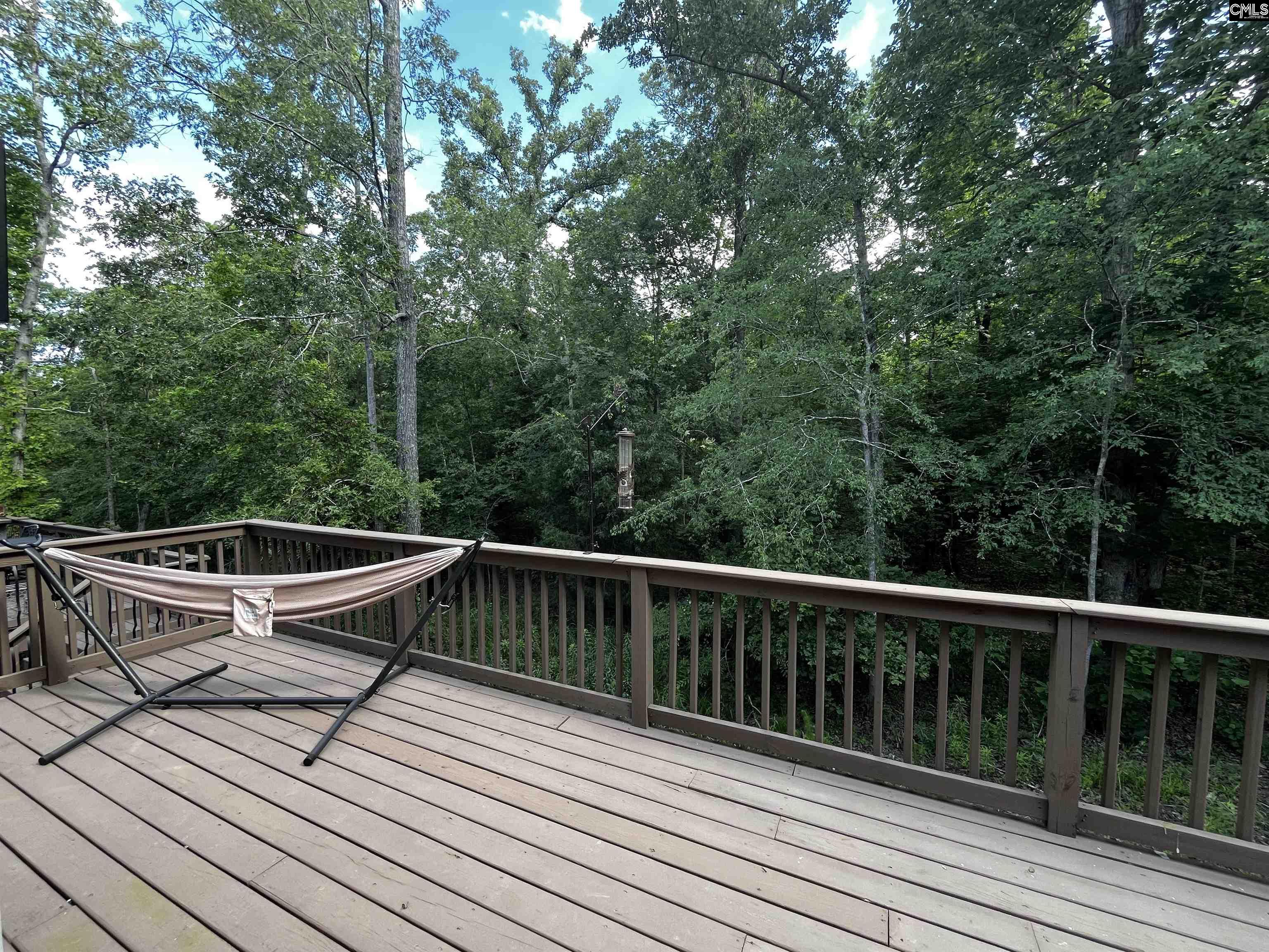 269 Marina Cove Drive, Gilbert, South Carolina image 18