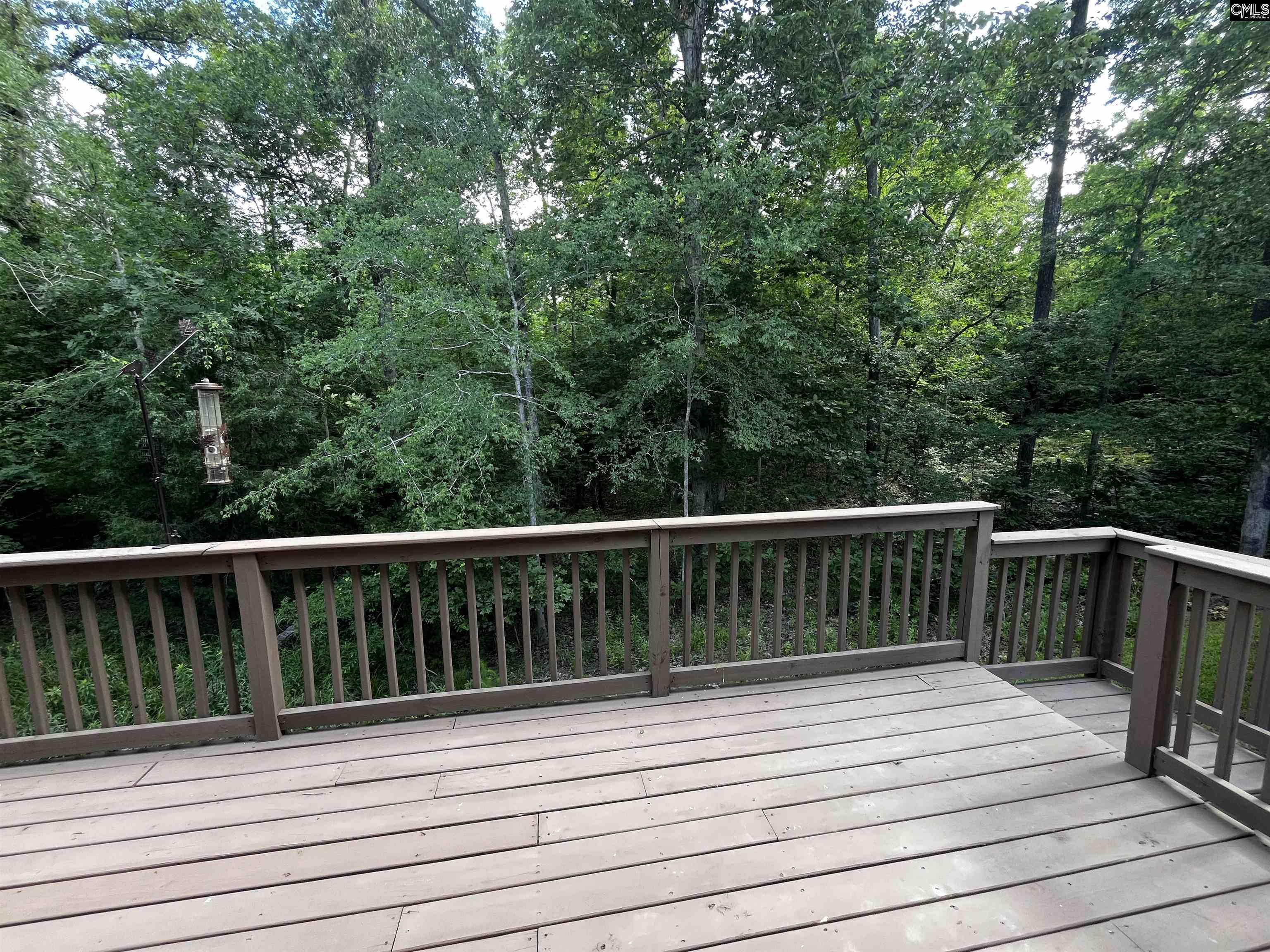 269 Marina Cove Drive, Gilbert, South Carolina image 19