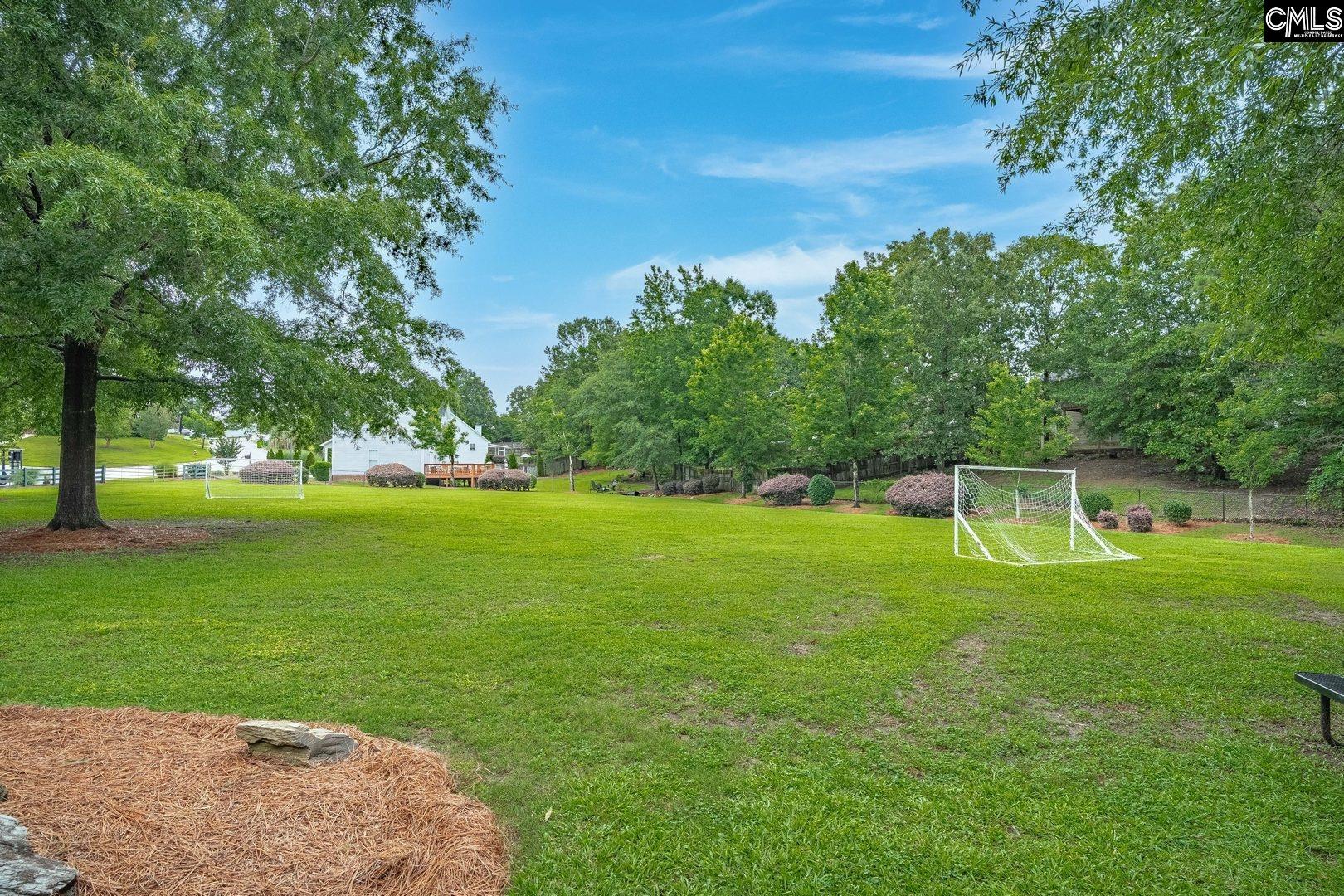615 Beech Branch Drive Irmo, SC 29063