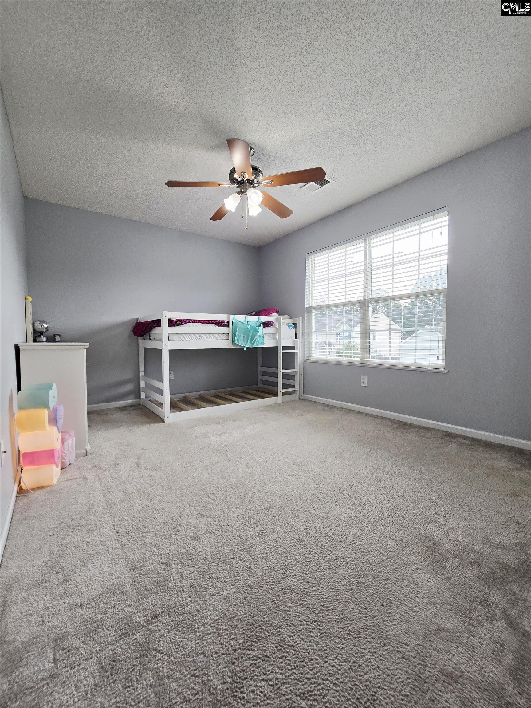 231 Cascade Court, Lexington, South Carolina image 20