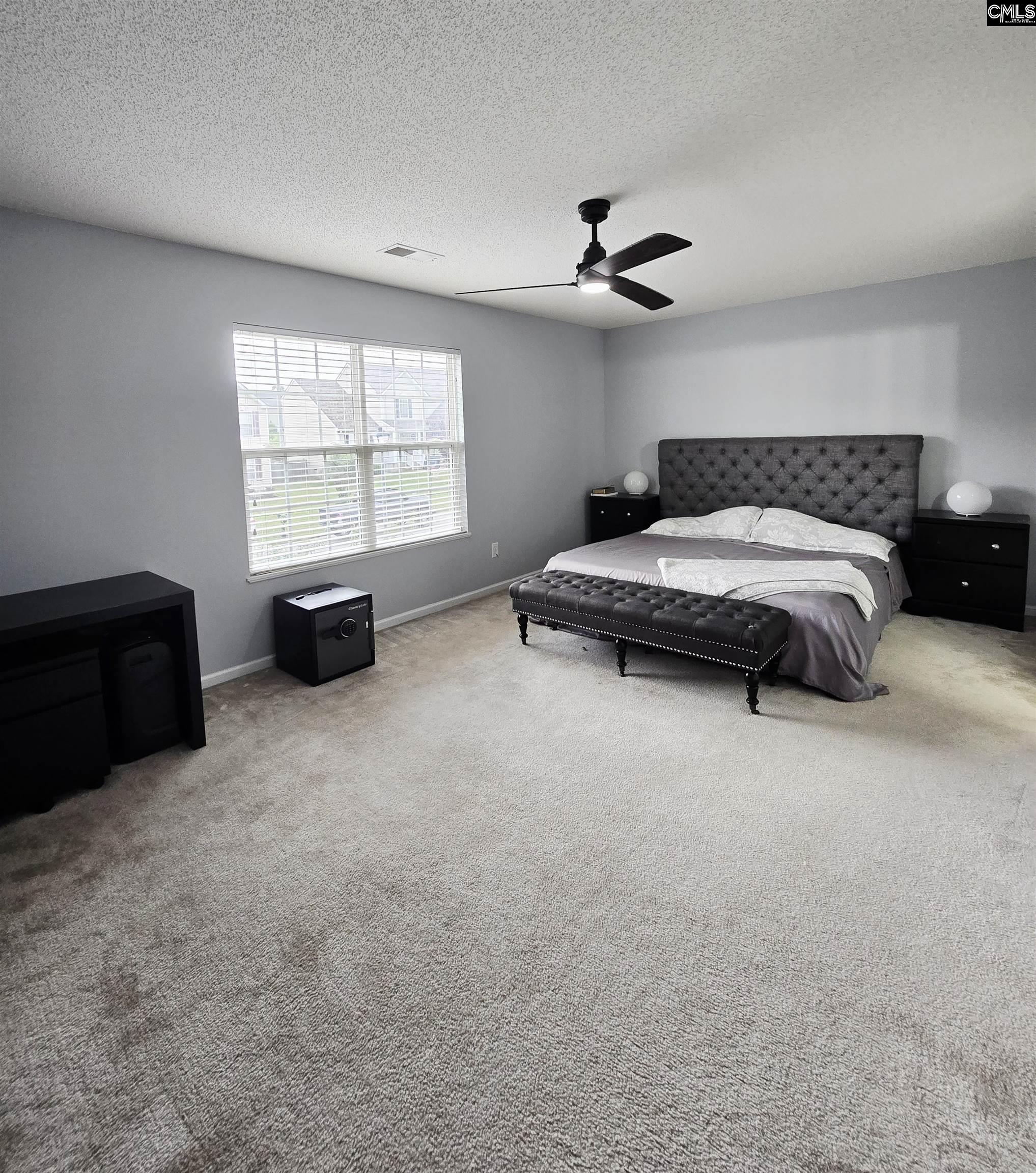 231 Cascade Court, Lexington, South Carolina image 24