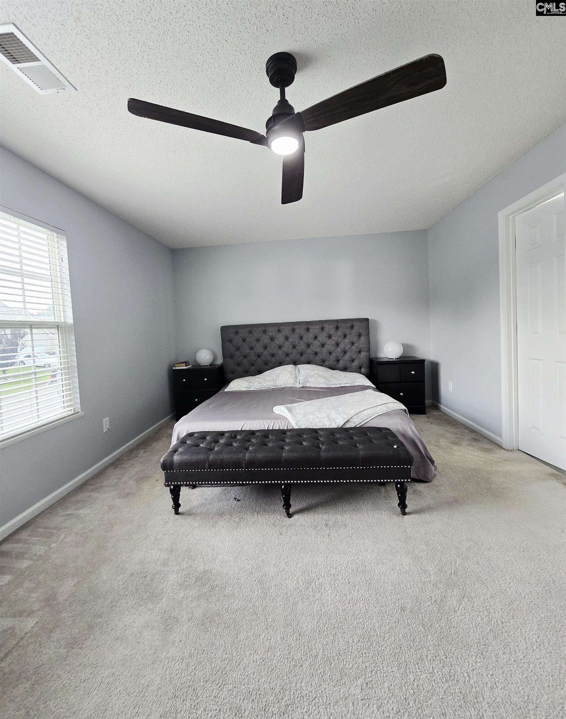231 Cascade Court, Lexington, South Carolina image 25