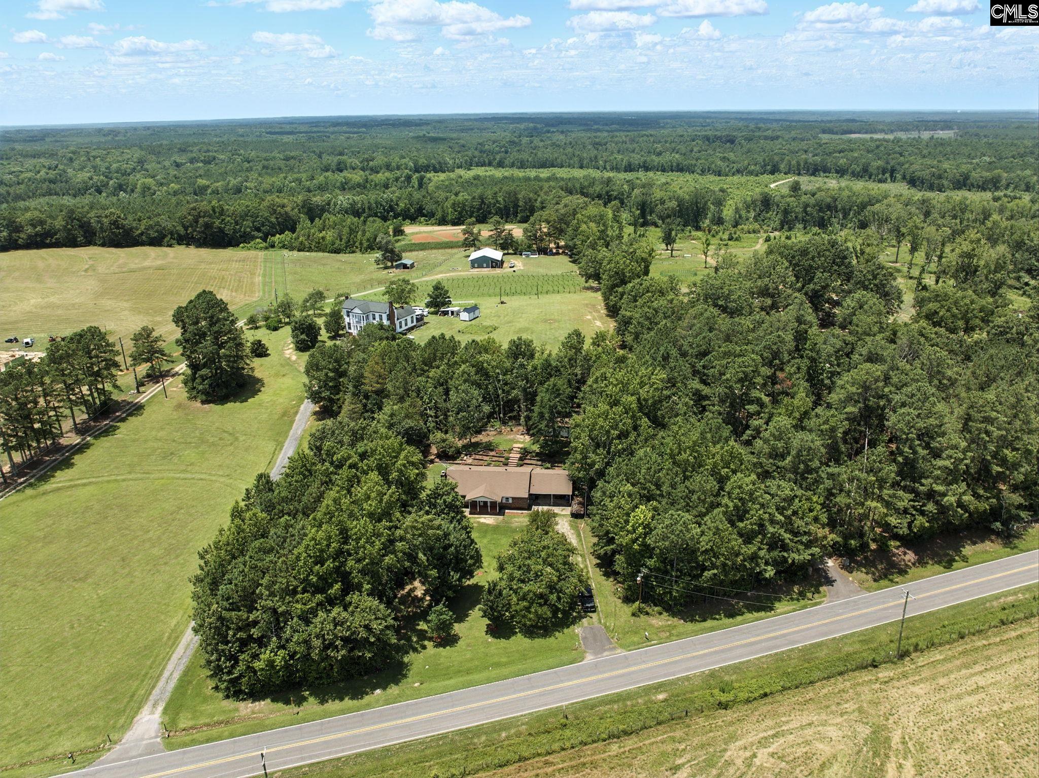 3091 Summerland Highway, Leesville, South Carolina image 2