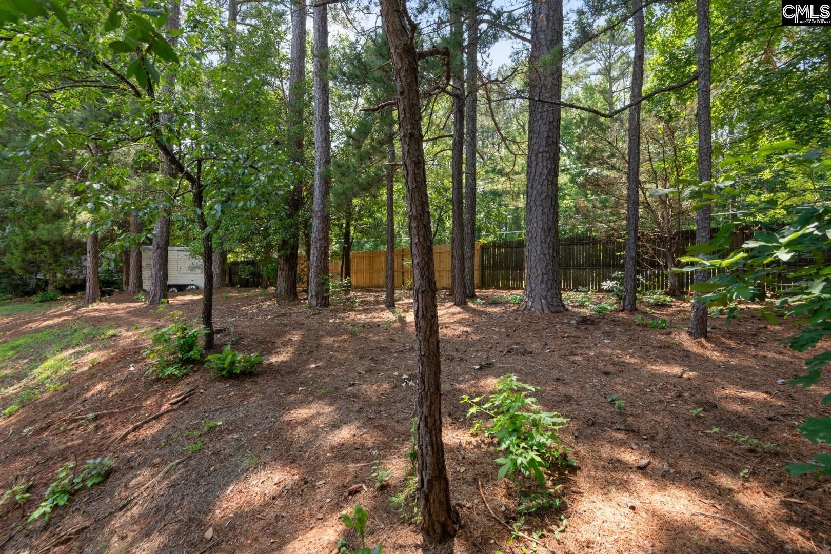 419 Bakerton Court, Columbia, South Carolina image 32