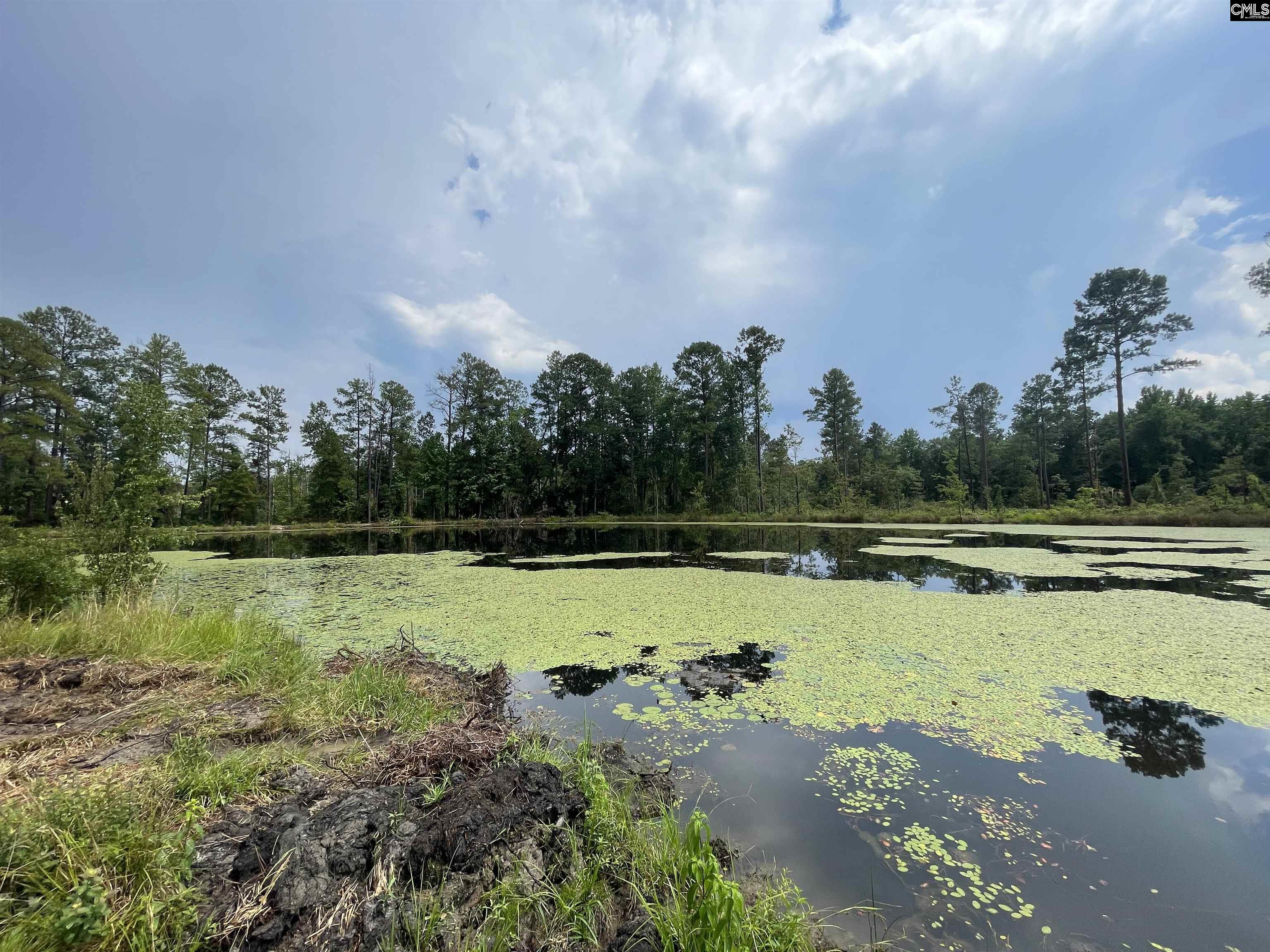 1410 Teal Road Cassatt, SC 29032