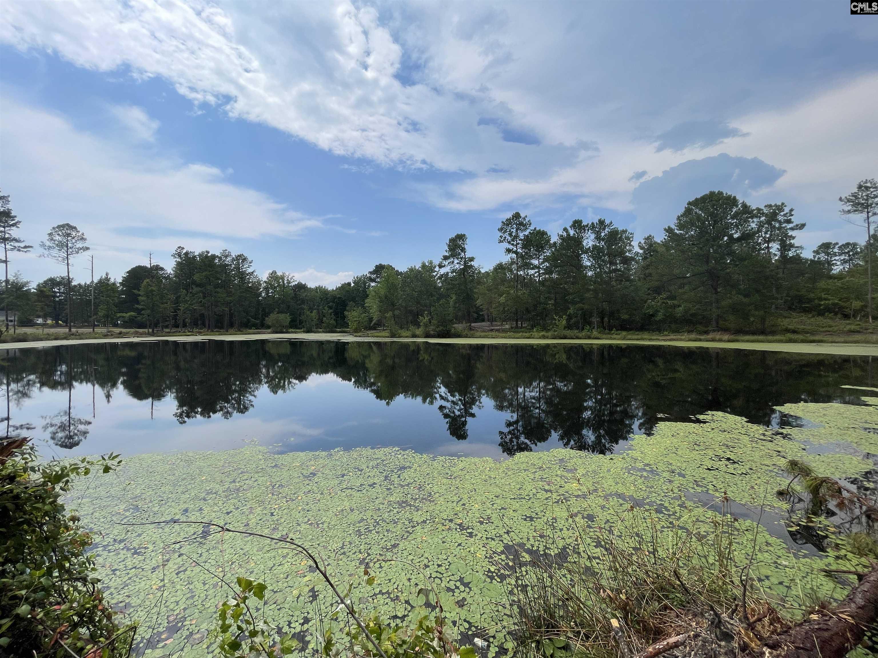 1410 Teal Road Cassatt, SC 29032