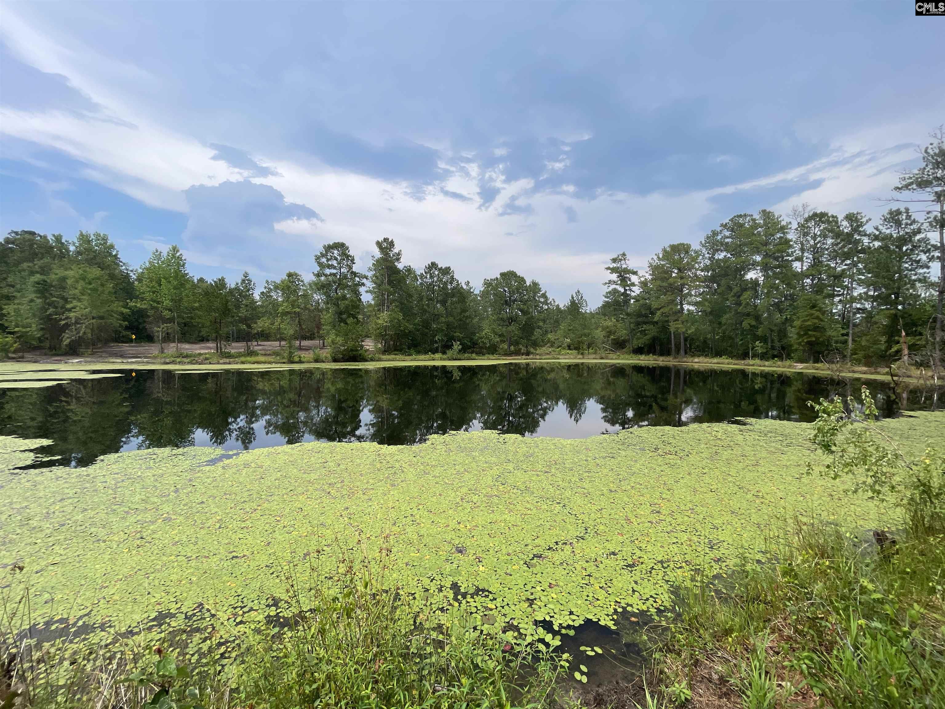 1410 Teal Road Cassatt, SC 29032