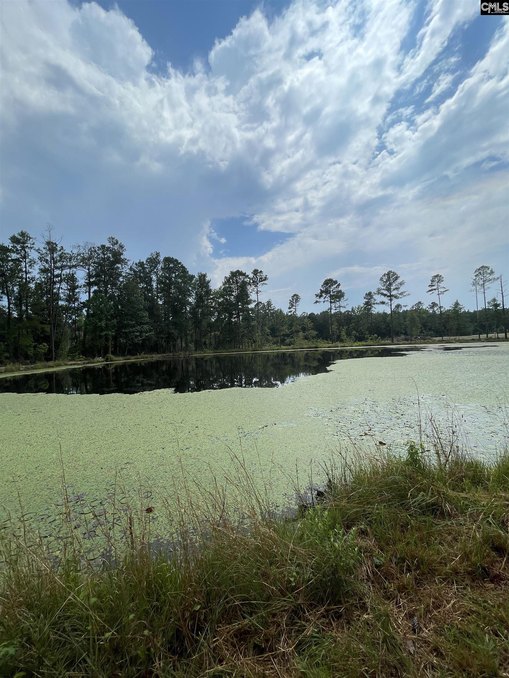 1410 Teal Road Cassatt, SC 29032
