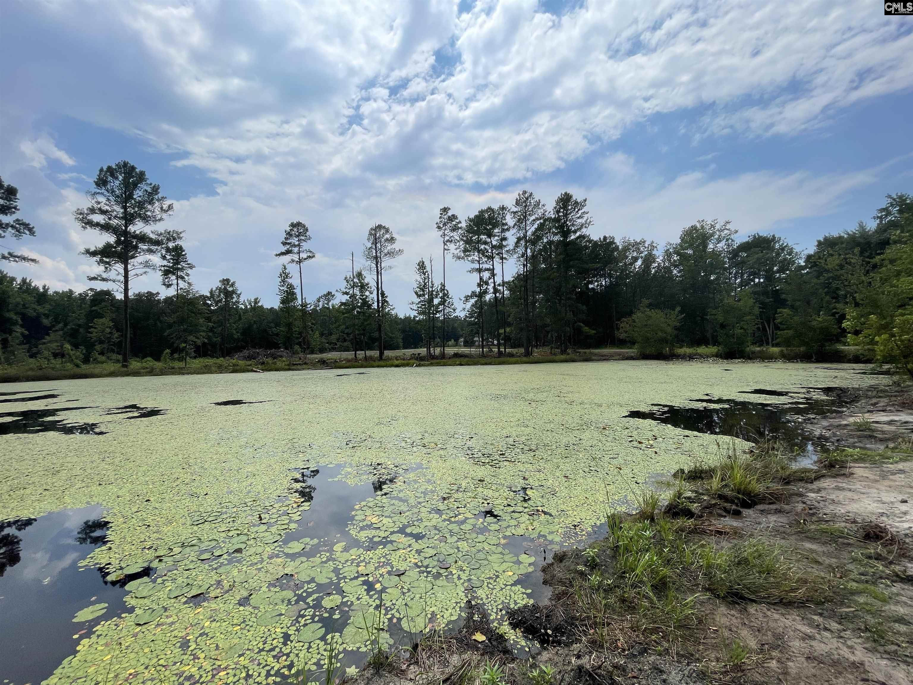 1410 Teal Road Cassatt, SC 29032