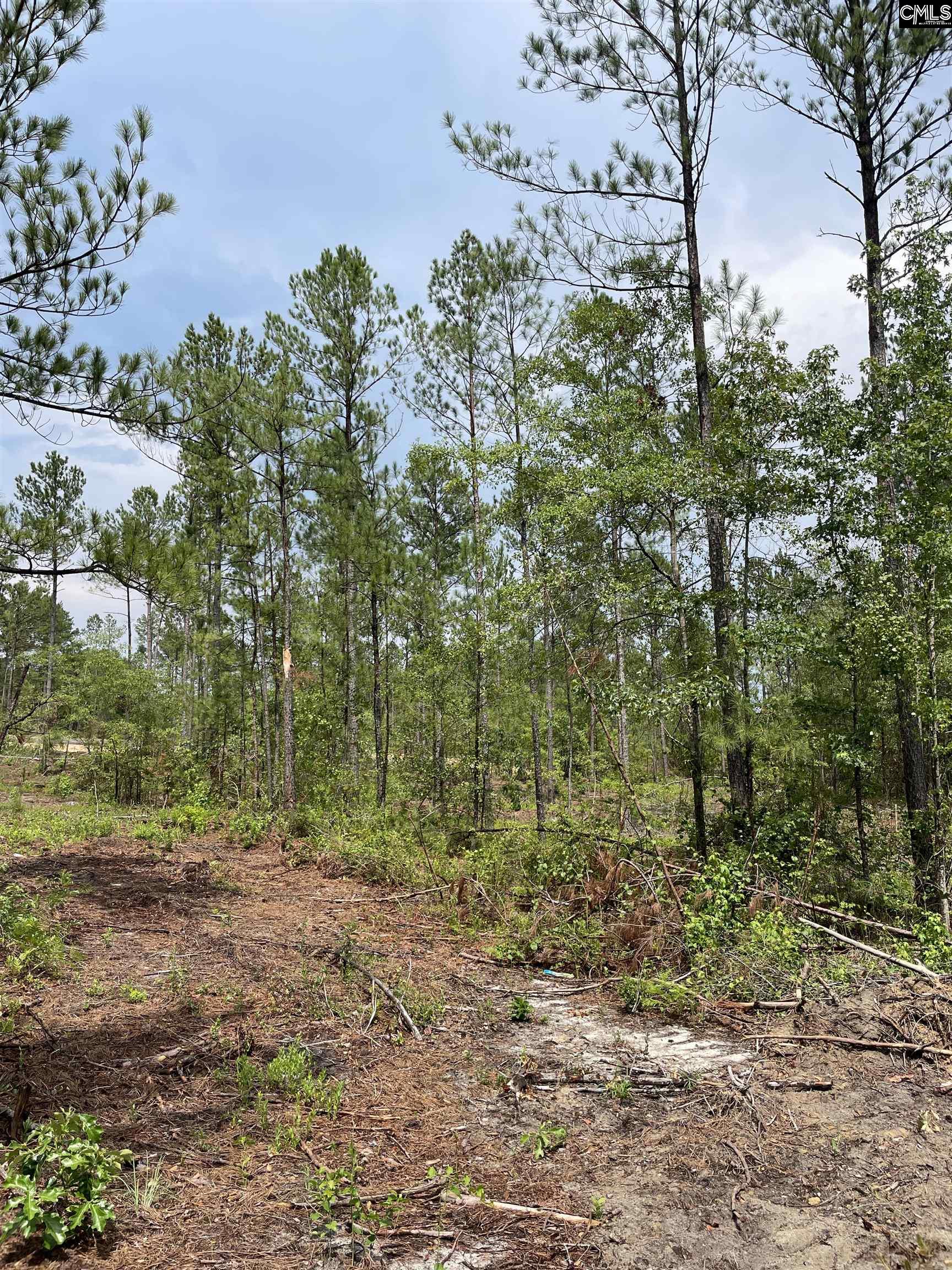 1410 Teal Road Cassatt, SC 29032