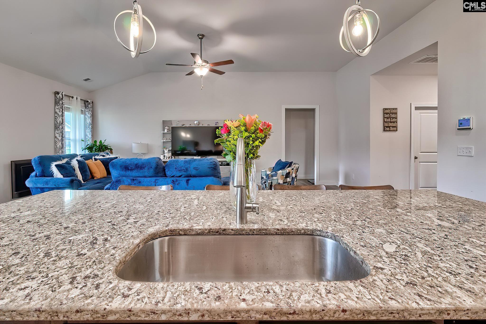 203 Doe Meadow Lane Elgin, SC 29045