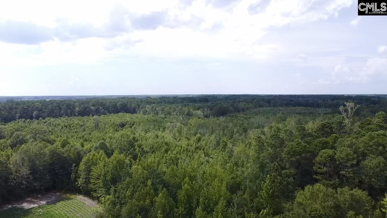tbd Baxley Road Bowman, SC 29018