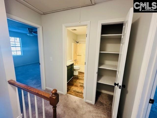 13 Allison Court Cayce, SC 29033