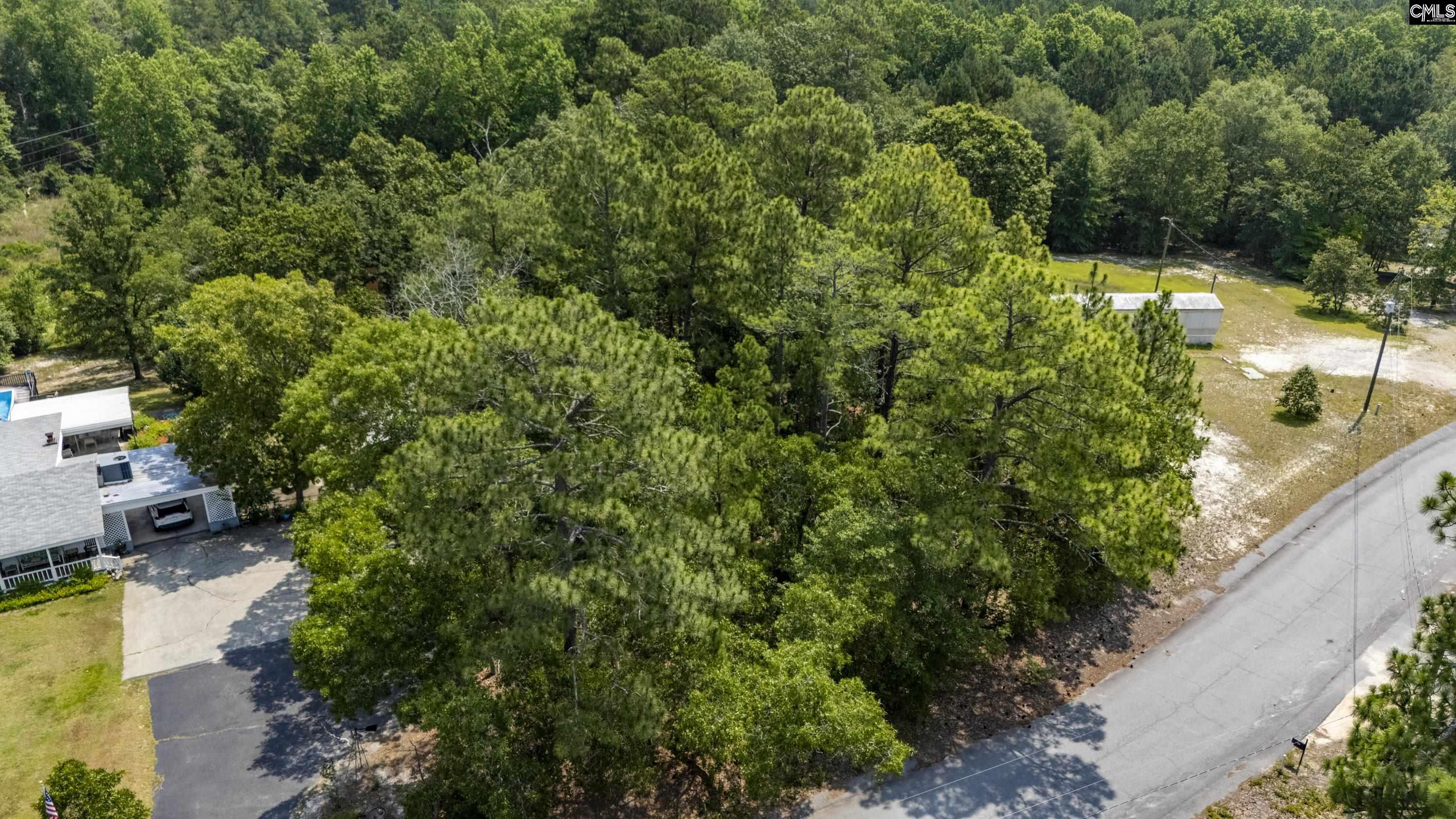 TBD Shirway Court, Lexington, South Carolina image 6