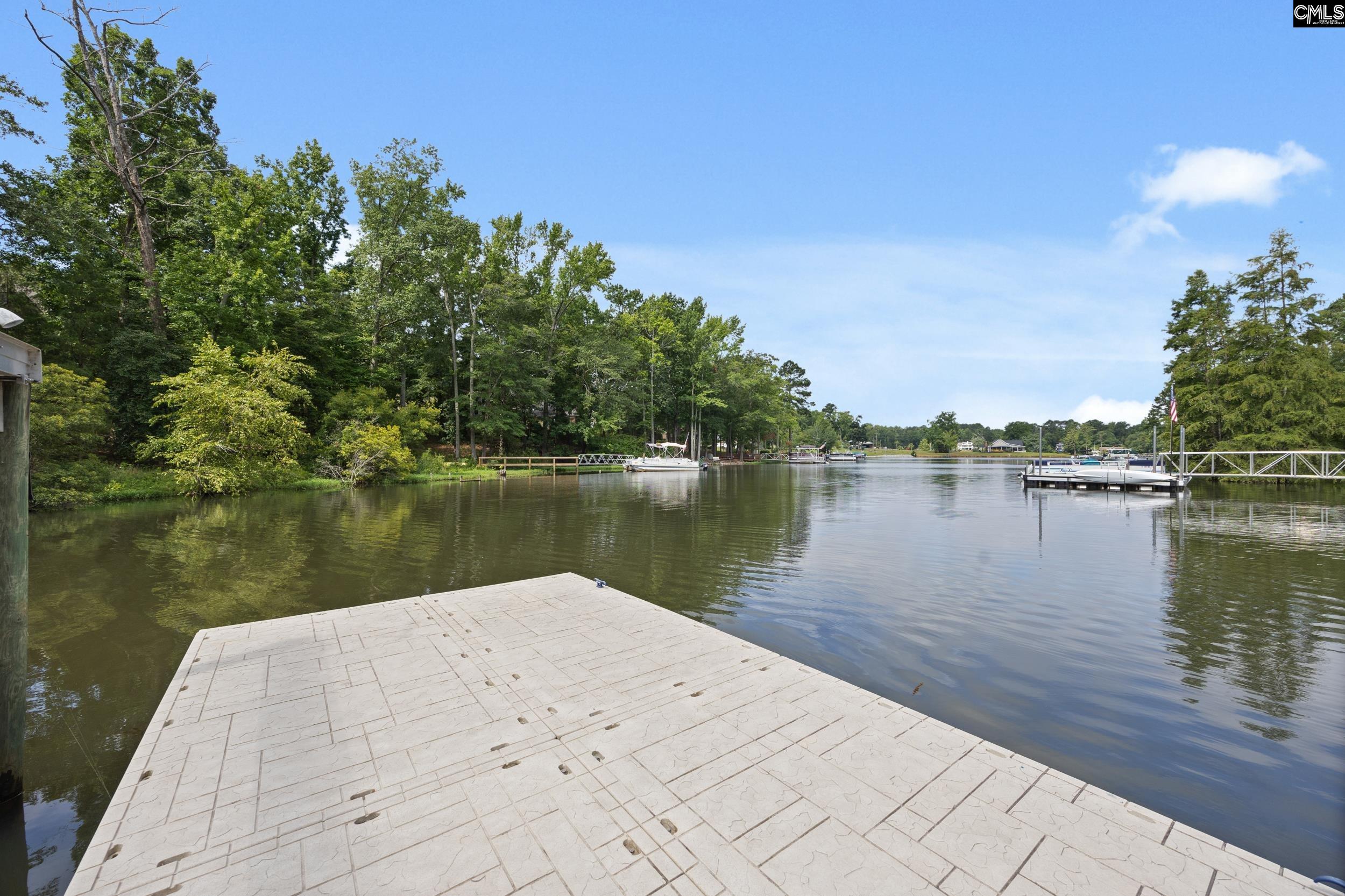 119 Country Lake Drive Lexington, SC 29072