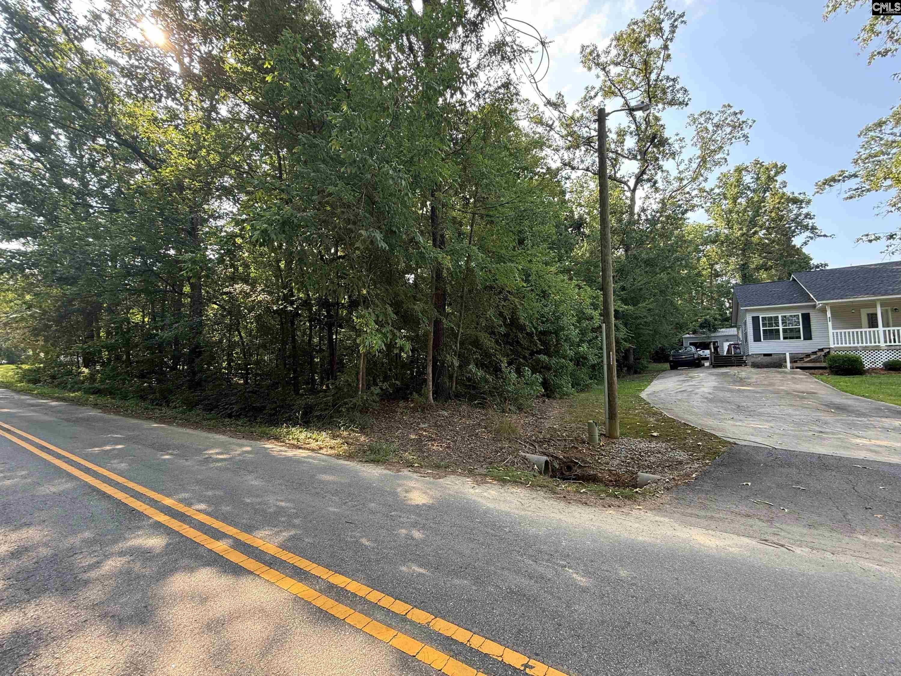 533 Newberry Dr, Chapin, South Carolina image 1