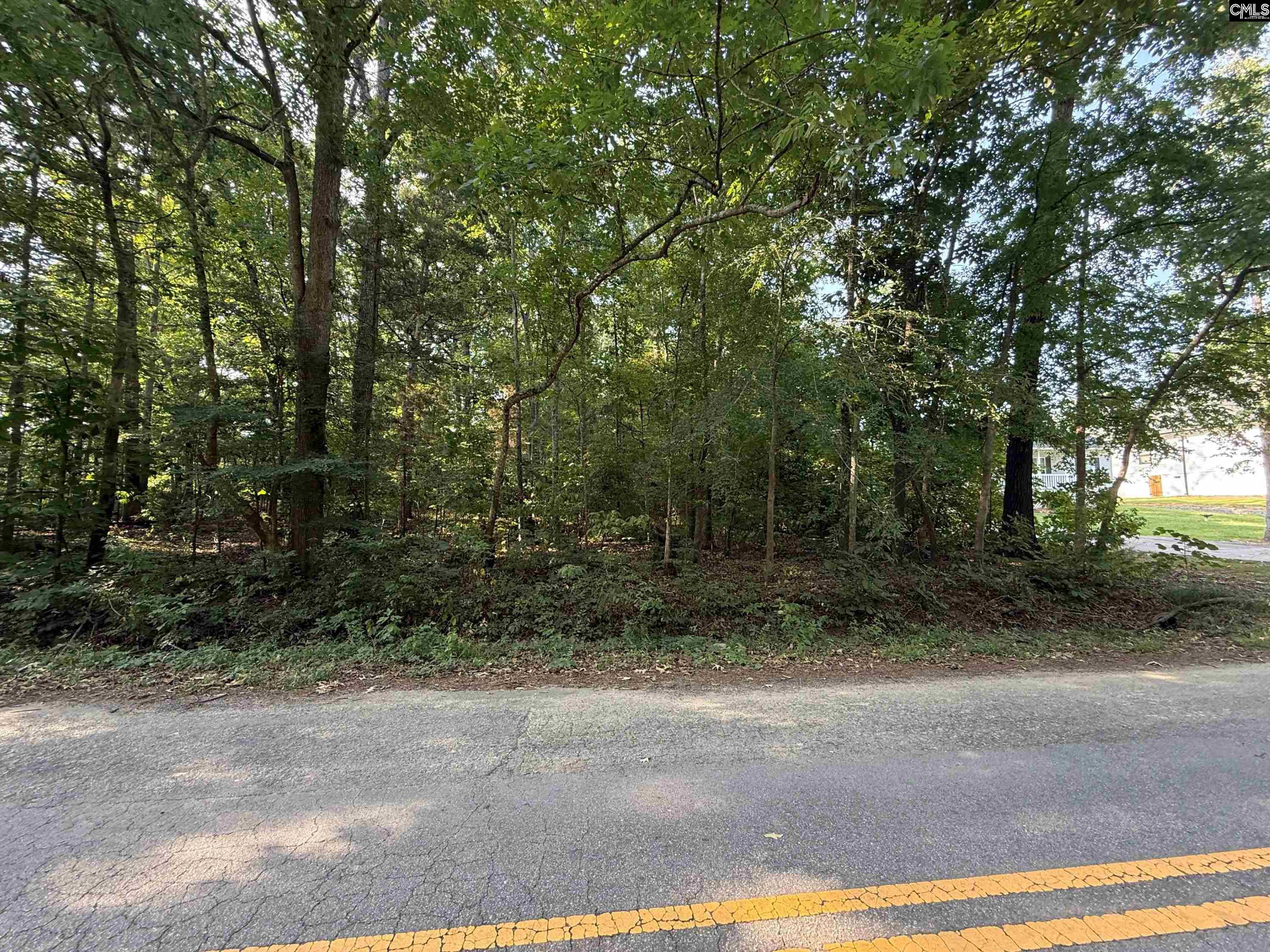 533 Newberry Dr, Chapin, South Carolina image 2