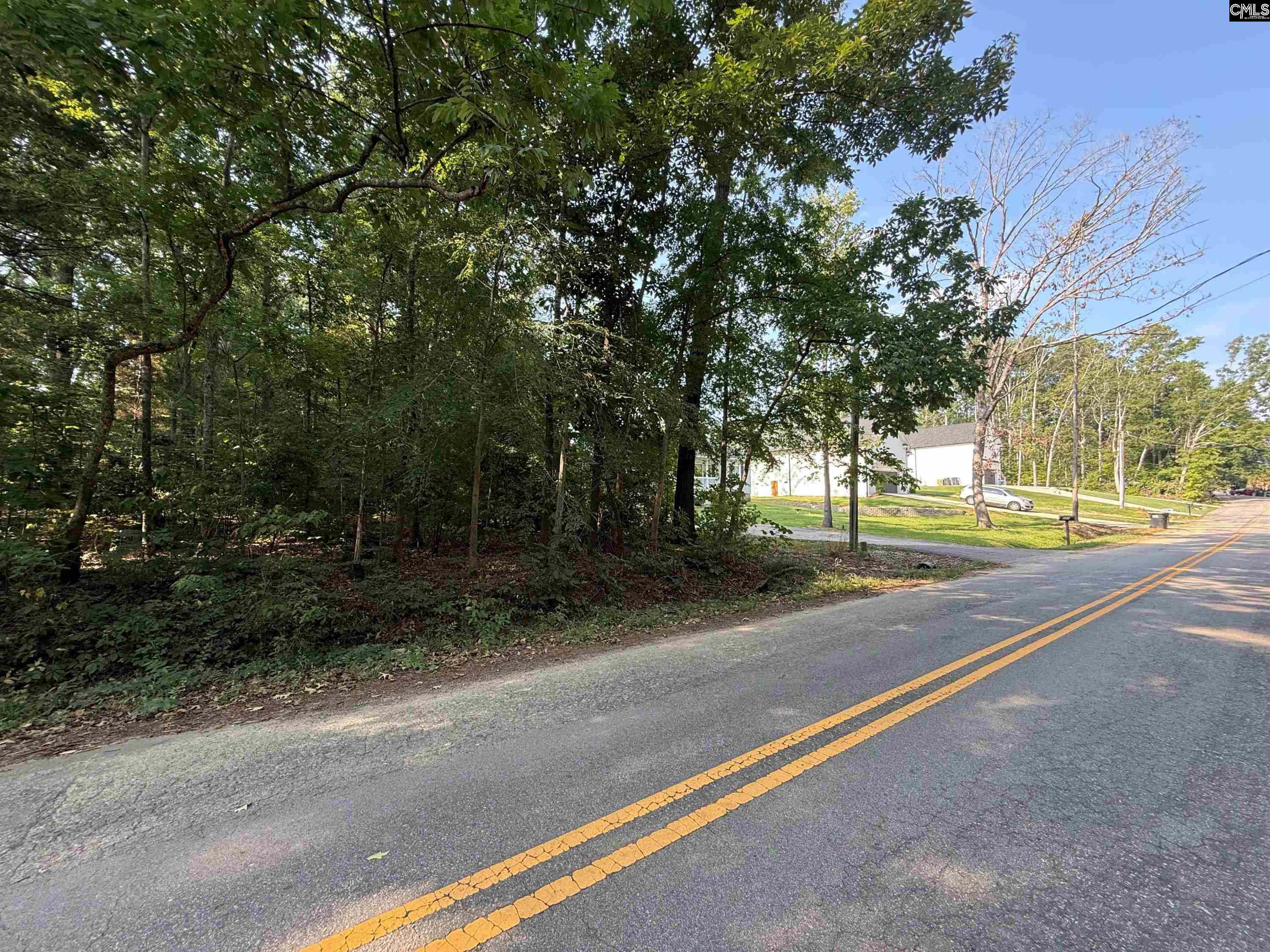 533 Newberry Dr, Chapin, South Carolina image 3