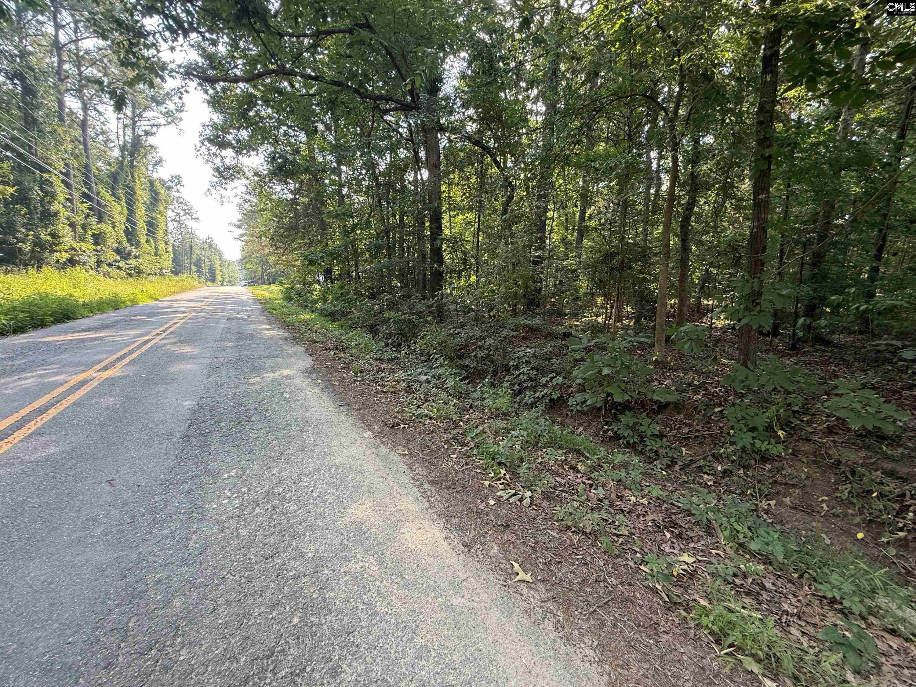 533 Newberry Dr, Chapin, South Carolina image 4
