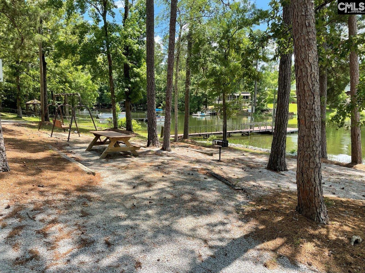 533 Newberry Dr, Chapin, South Carolina image 7