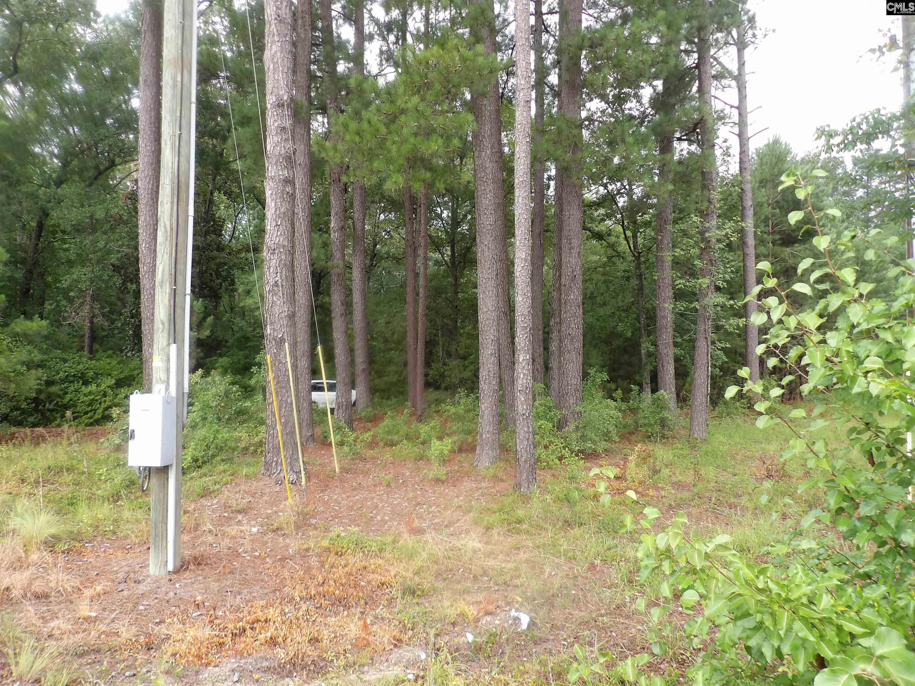 4610 Platt Springs Road, West Columbia, South Carolina image 1