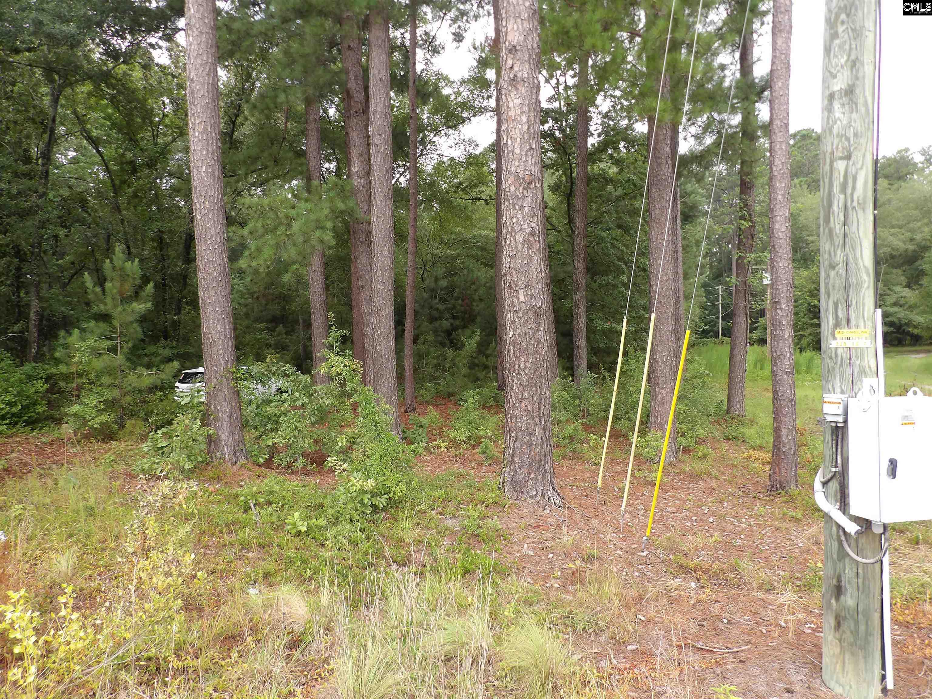 4610 Platt Springs Road, West Columbia, South Carolina image 2